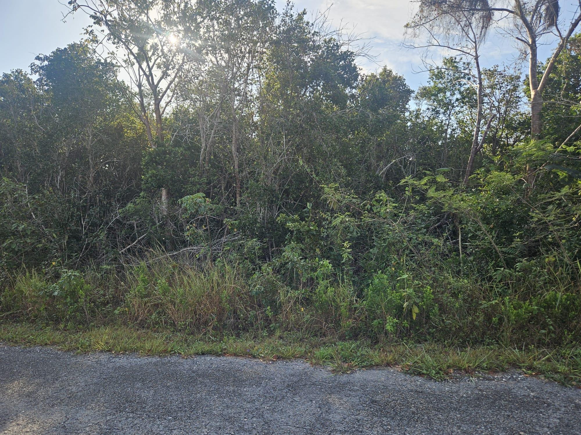 HILLSIDE PLACE   SOUTH OC