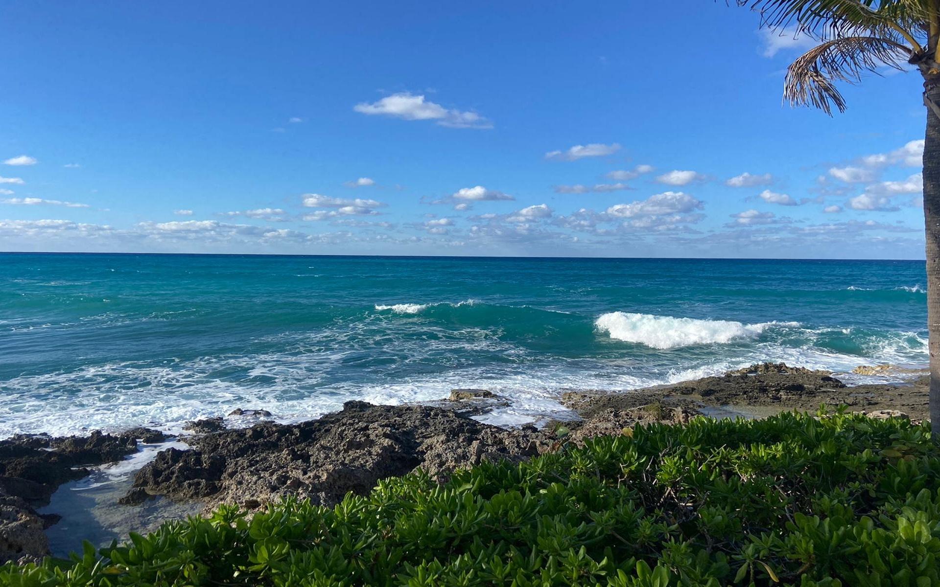 DELAPORTE POINT