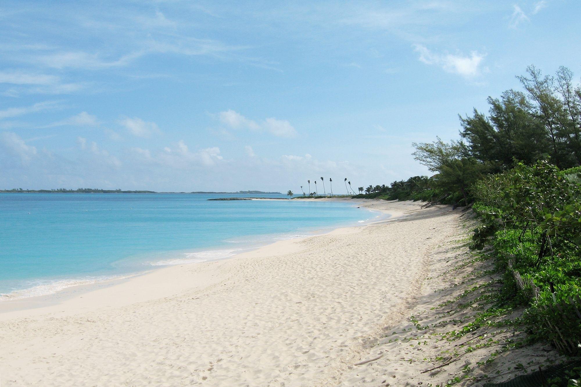 OCEAN CLUB RESIDENCES & M