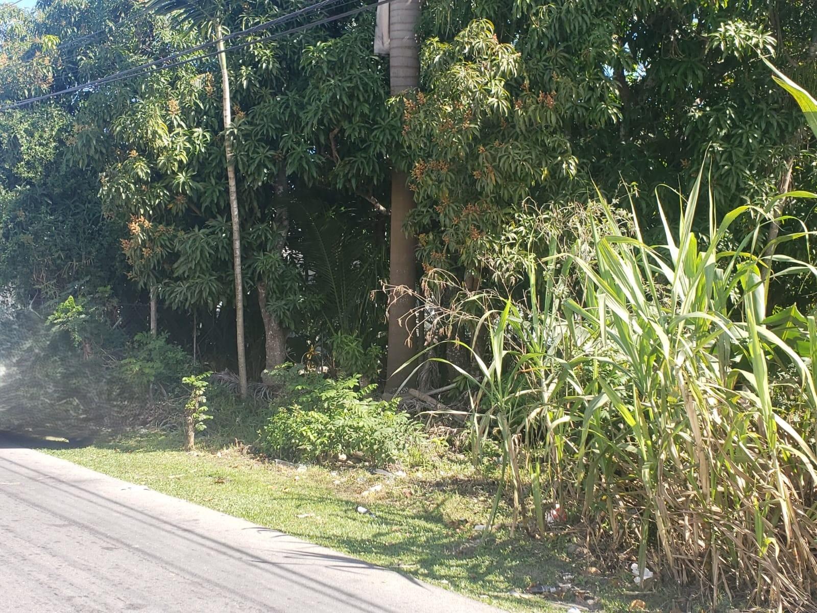 ALLOTMENT 25 GLADSTONE RD