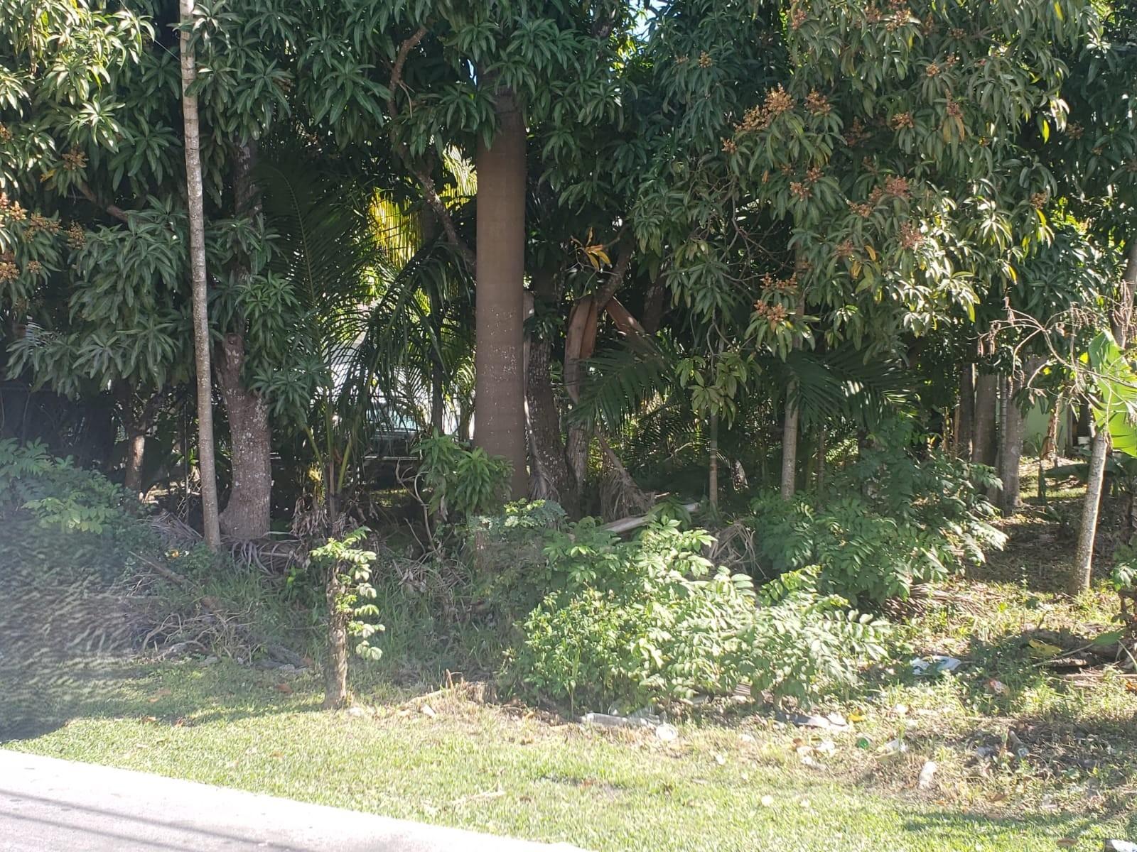 ALLOTMENT 25 GLADSTONE RD