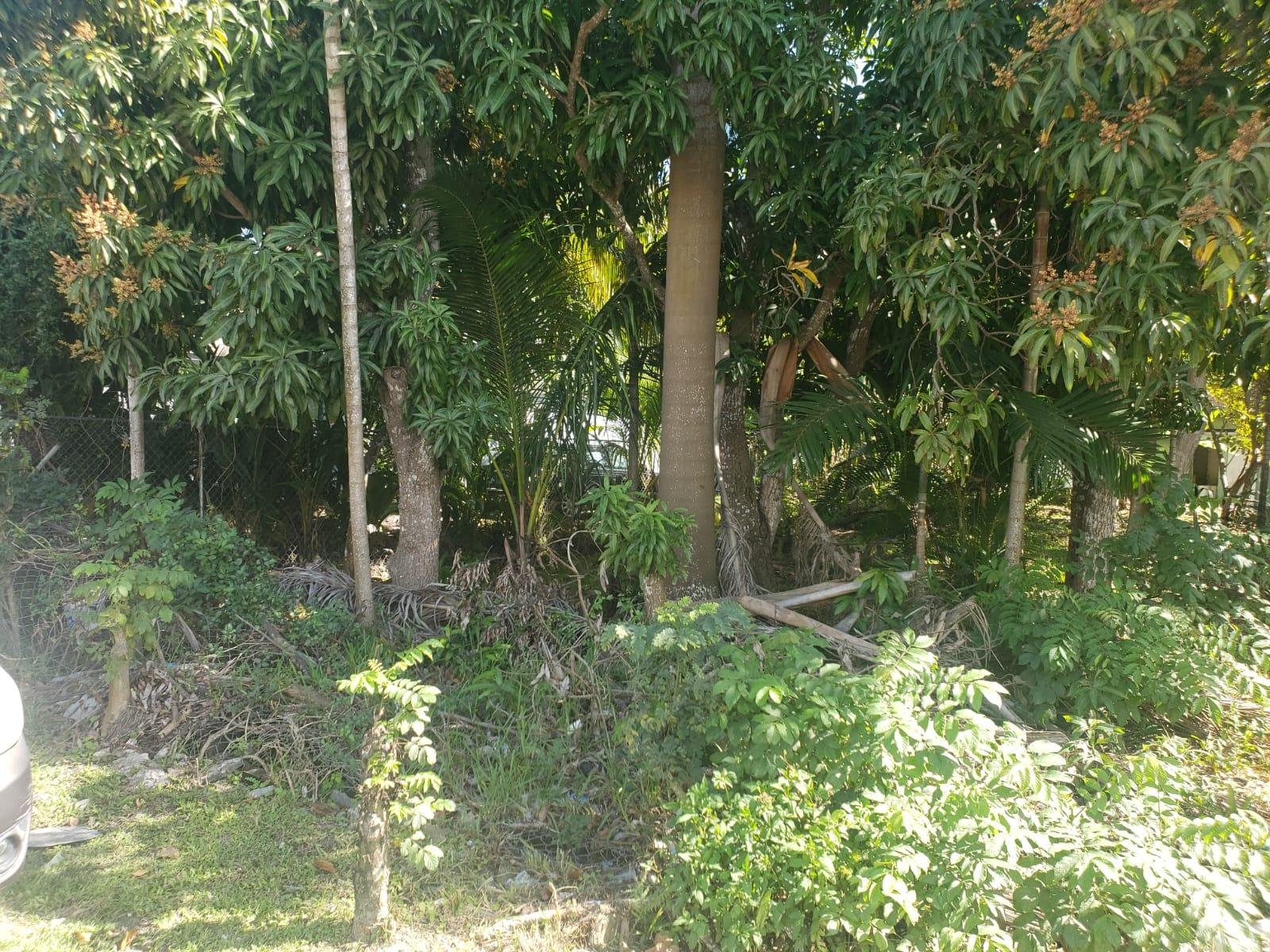 ALLOTMENT 25 GLADSTONE RD