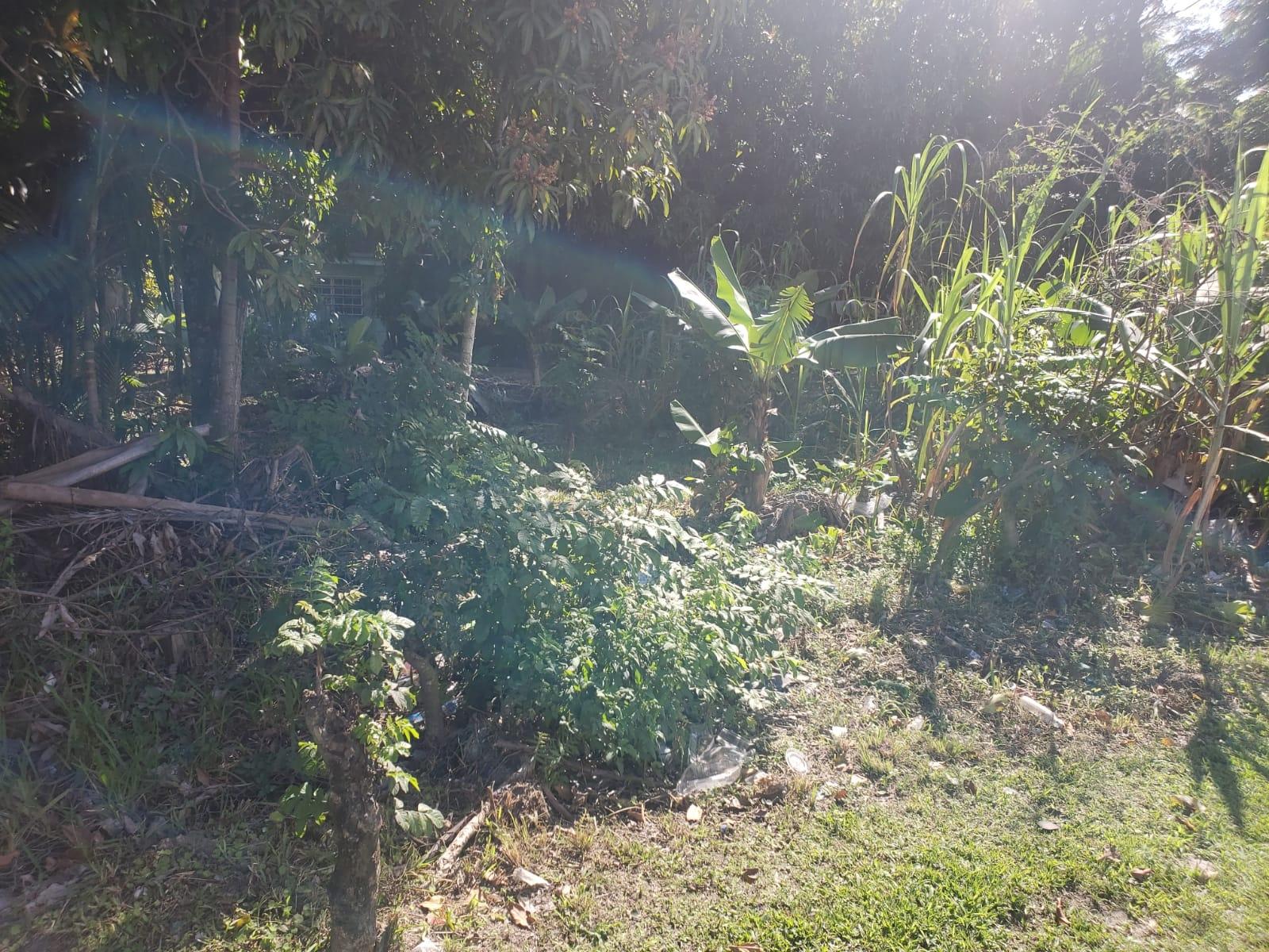 ALLOTMENT 25 GLADSTONE RD