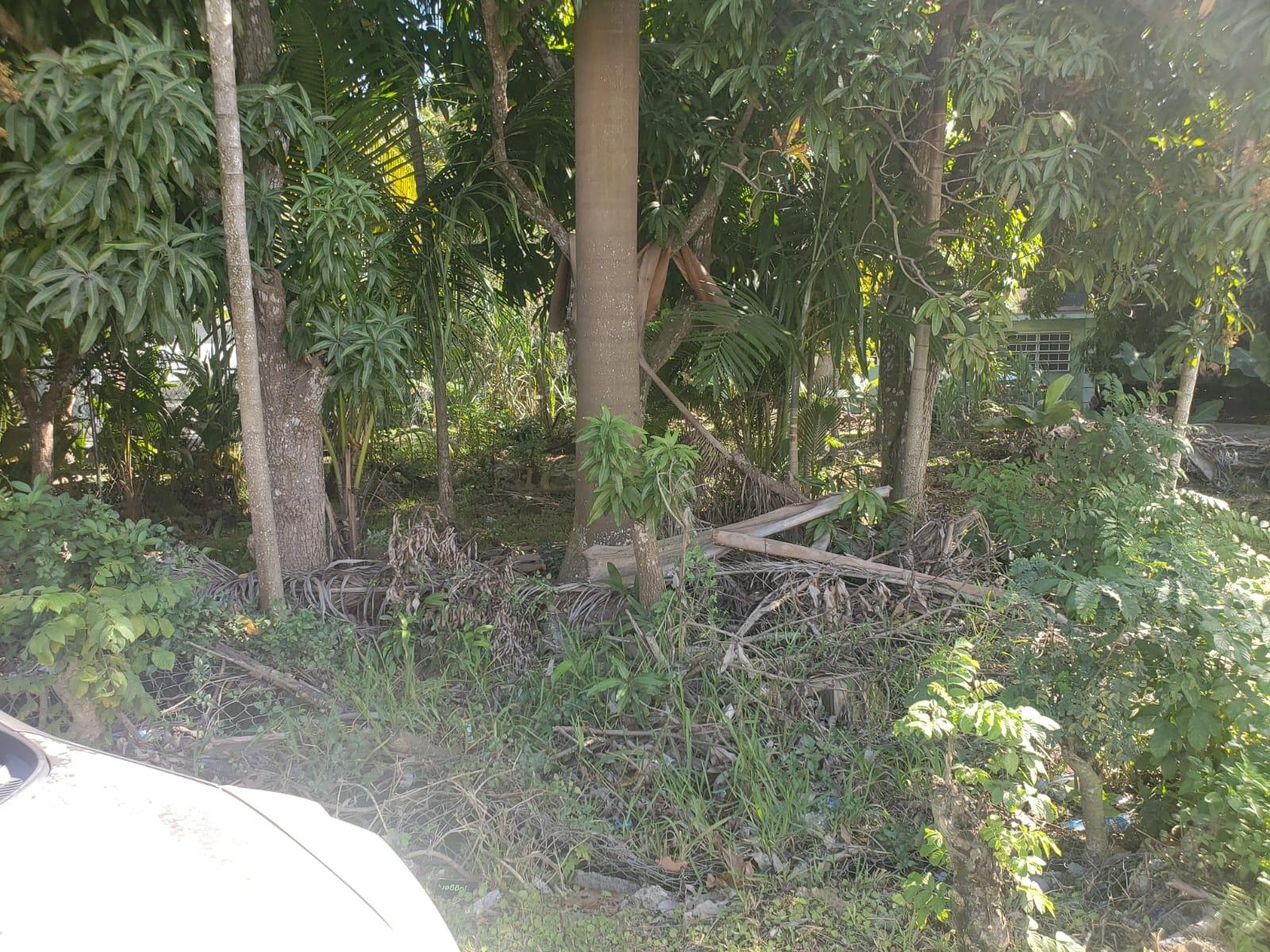 ALLOTMENT 25 GLADSTONE RD