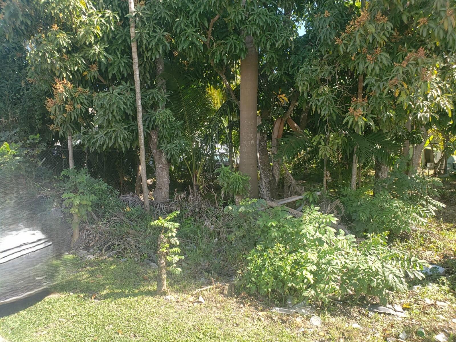 ALLOTMENT 25 GLADSTONE RD