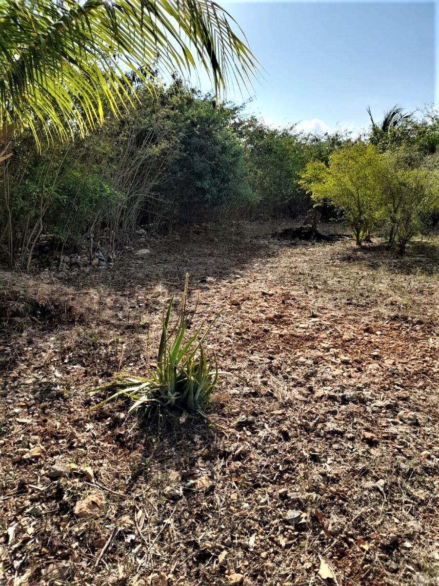 2 BED/1BA HOUSE IN HAMILT