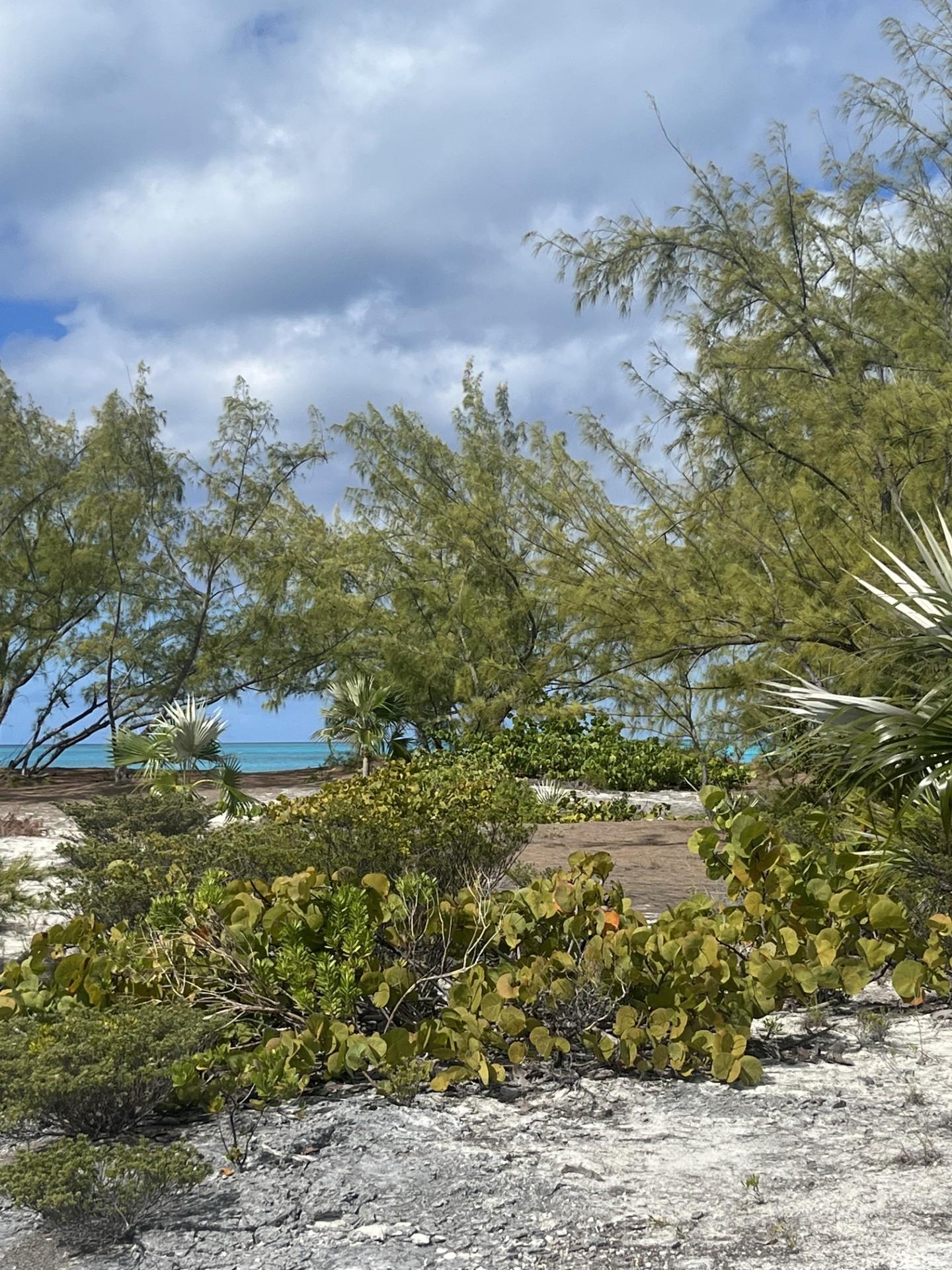 GALLIOT CAY