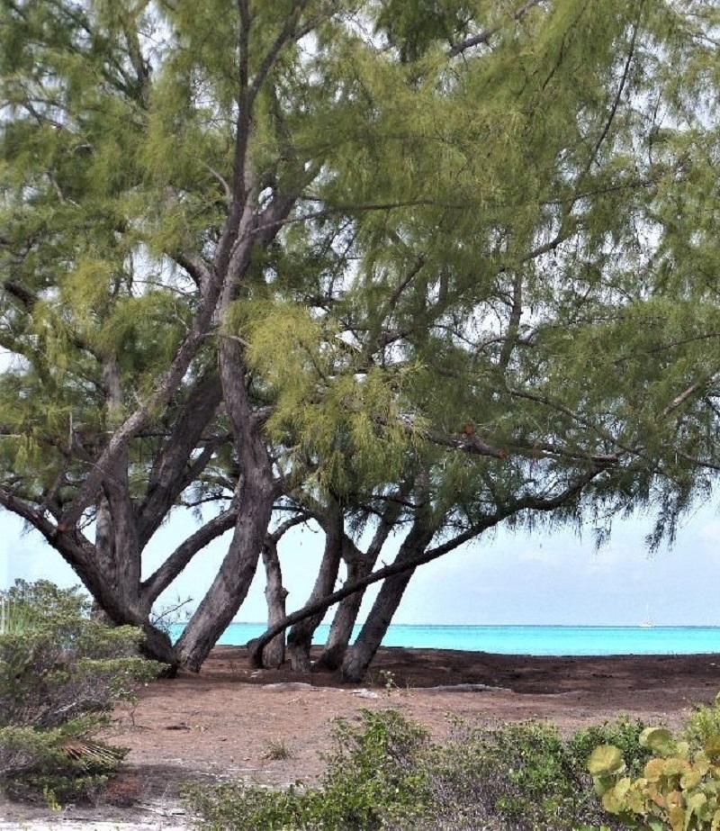 GALLIOT CAY