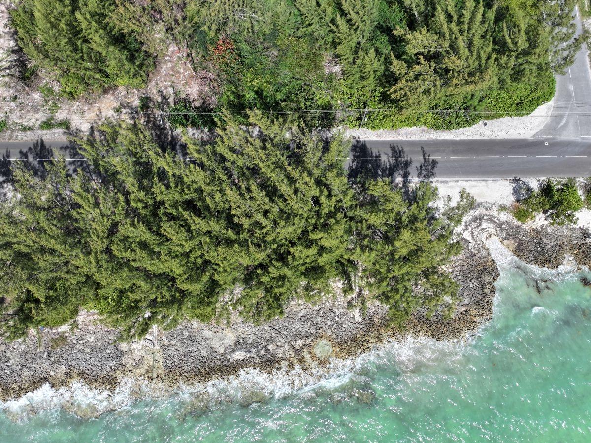 TWYNAM & OCEAN FRONT LOT