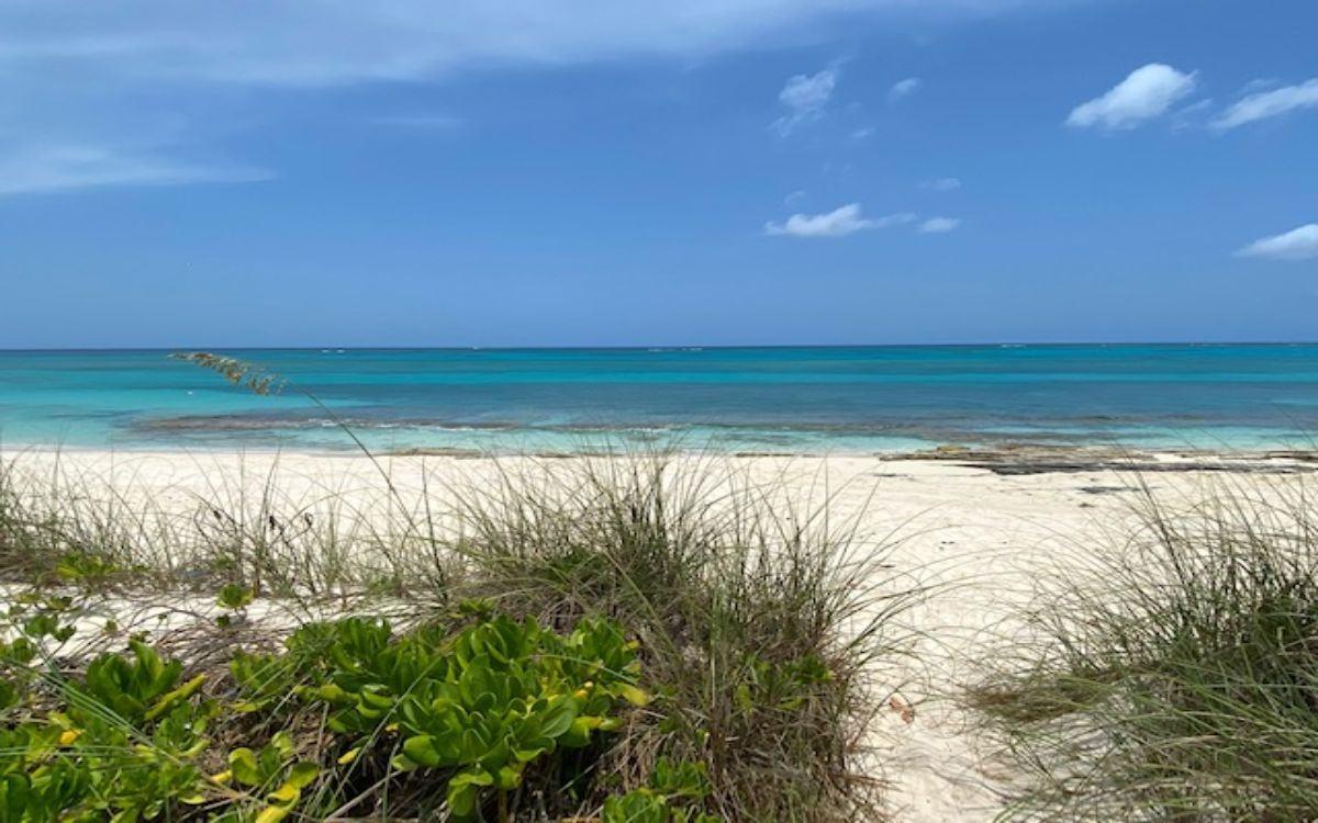 LOVE BEACH COLONY EAST