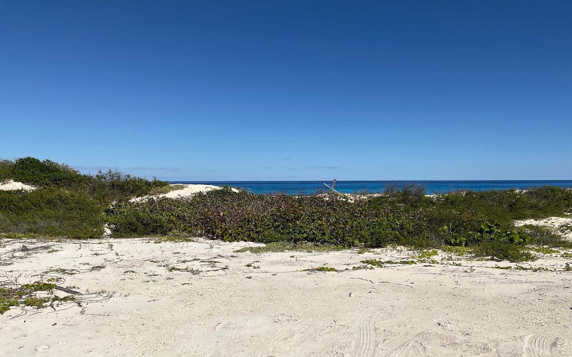 MILLERS BEACHFRONT ACRES