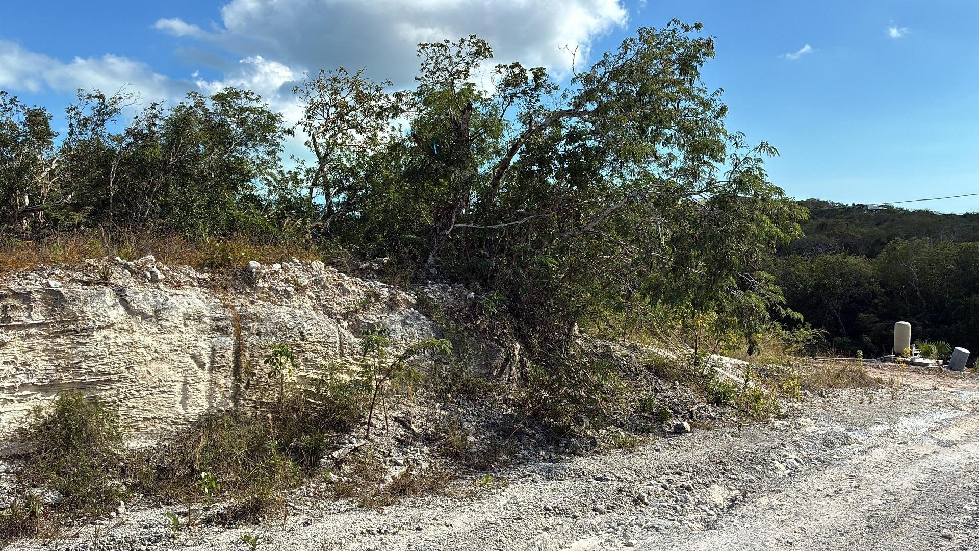 LOT 17136, FRANGIPANI RD