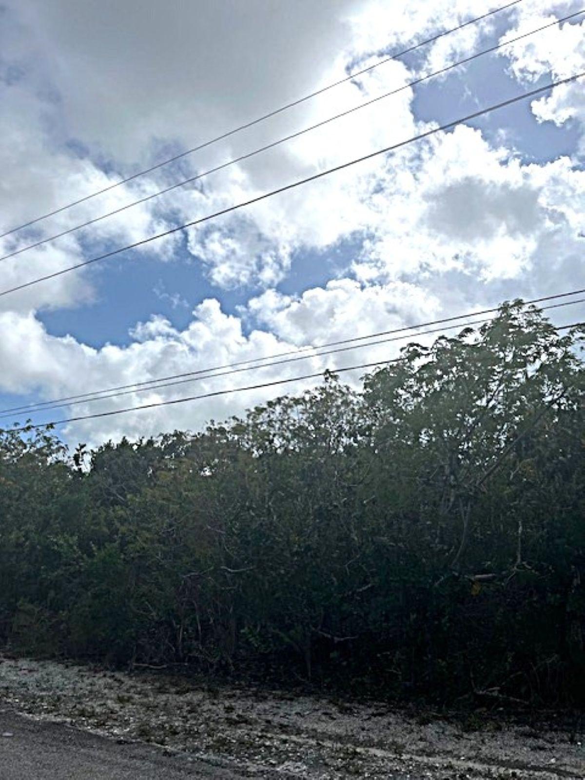 QUEEN’S HIGHWAY, MILEY