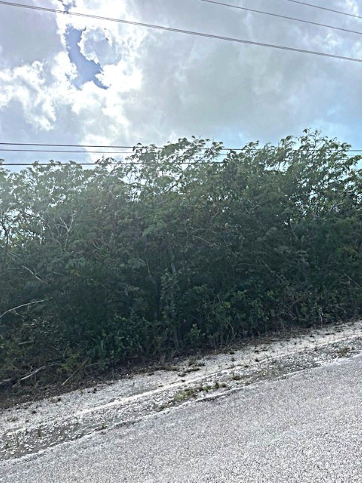 QUEEN’S HIGHWAY, MILEY