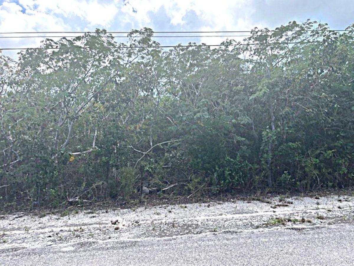 QUEEN’S HIGHWAY, MILEY