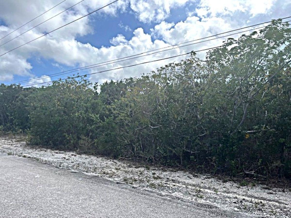 QUEEN’S HIGHWAY, MILEY