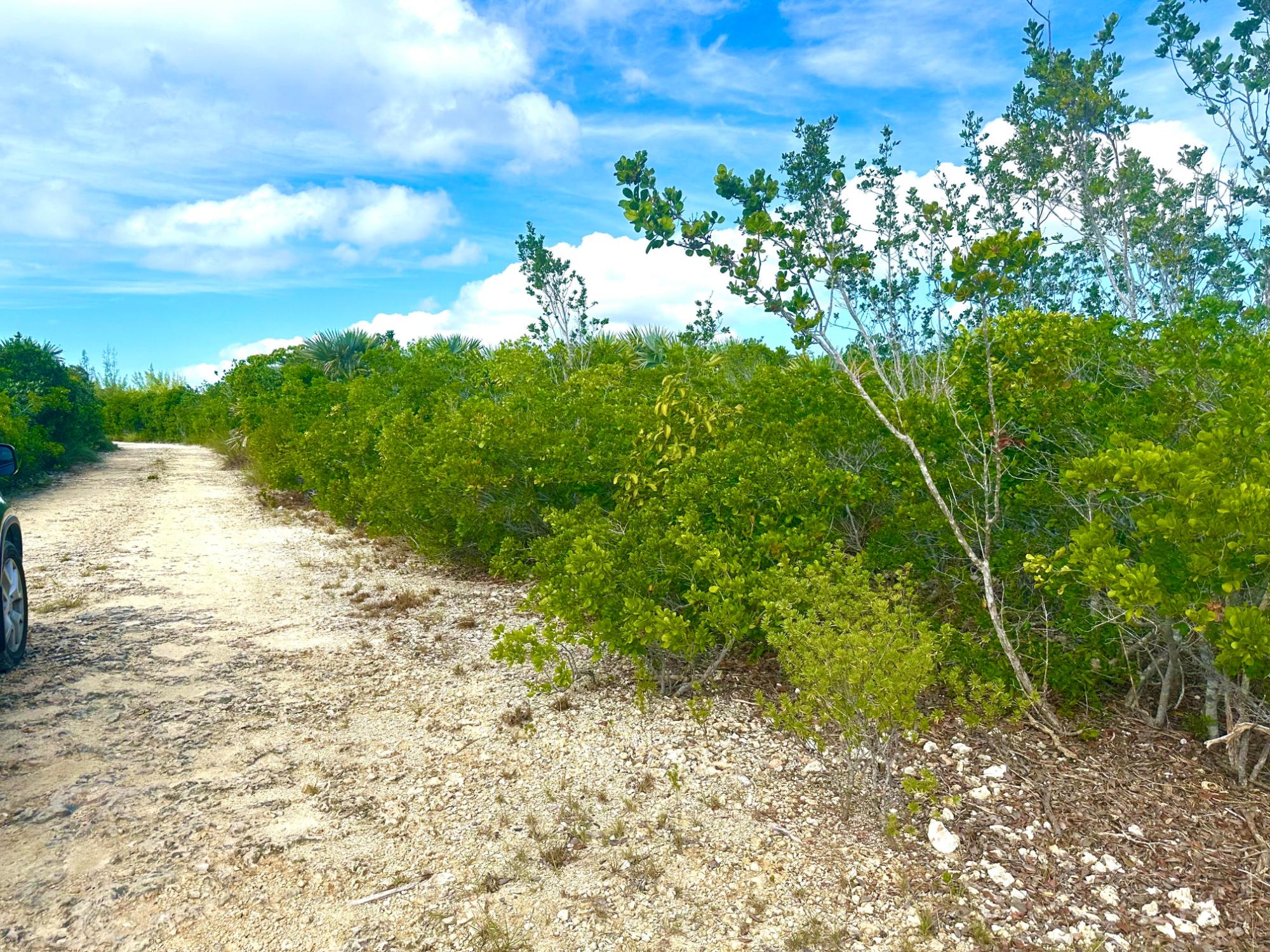 ELEU KEMP’S CREEK 4-ACRE