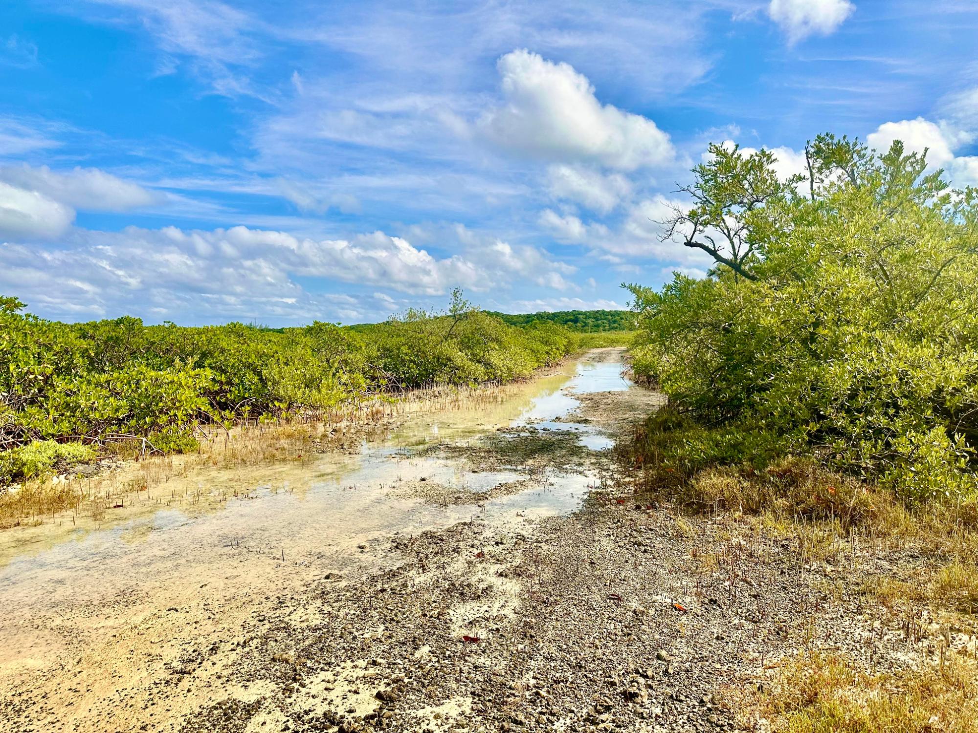 ELEU KEMP’S CREEK 4-ACRE
