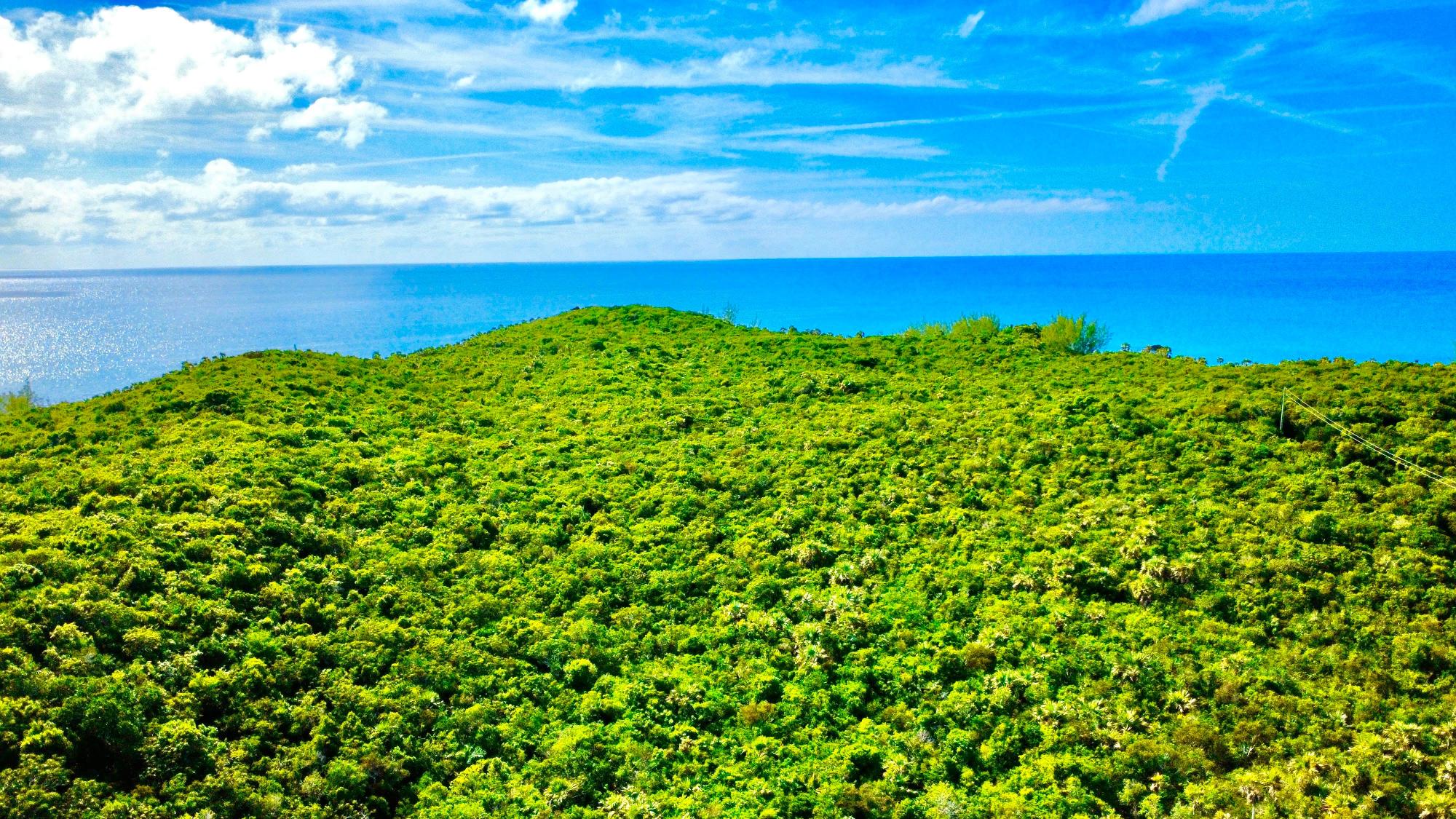 ELEU KEMP’S CREEK 4-ACRE