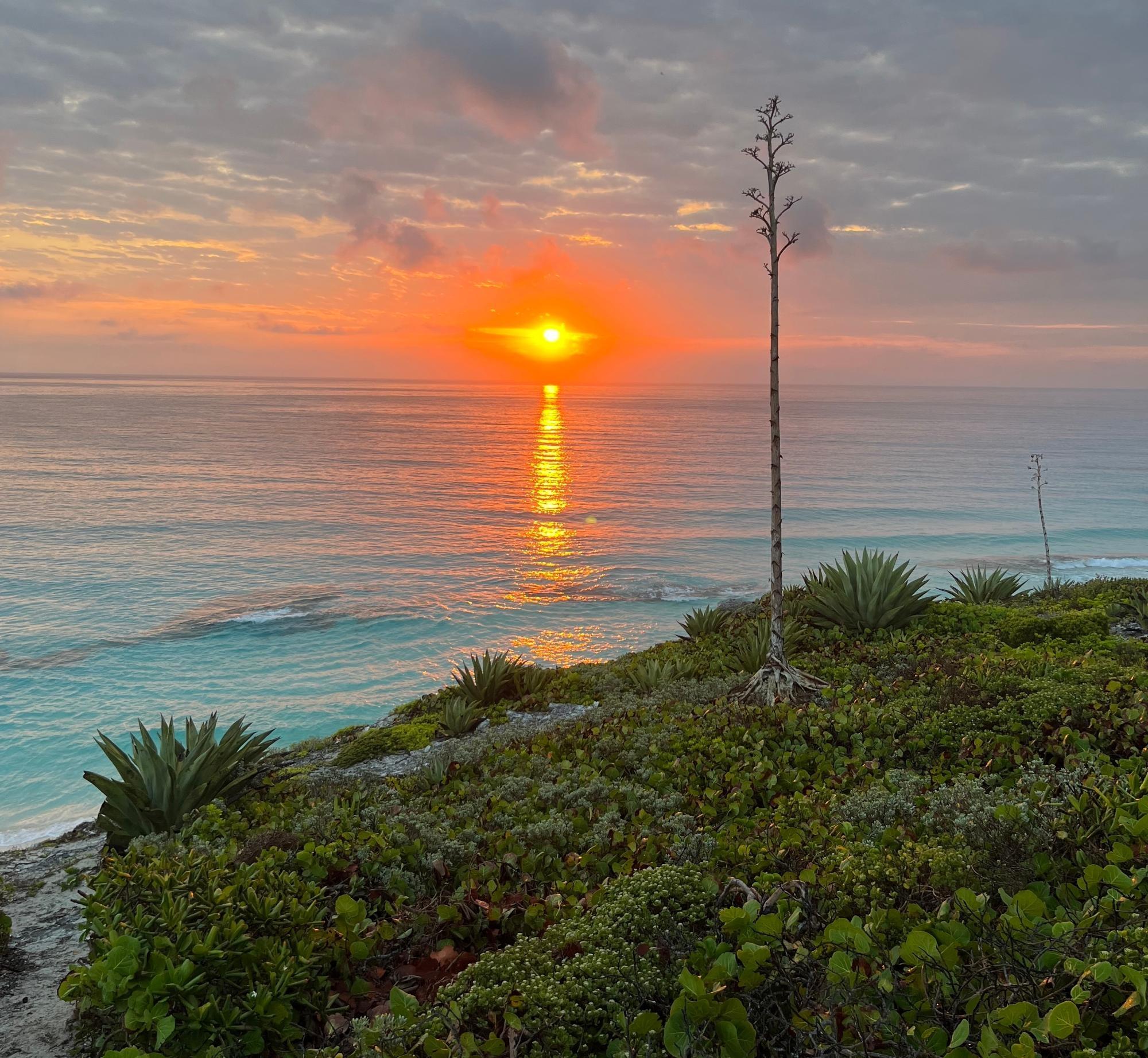 LOT 9 OCEAN VIEW DRIVE