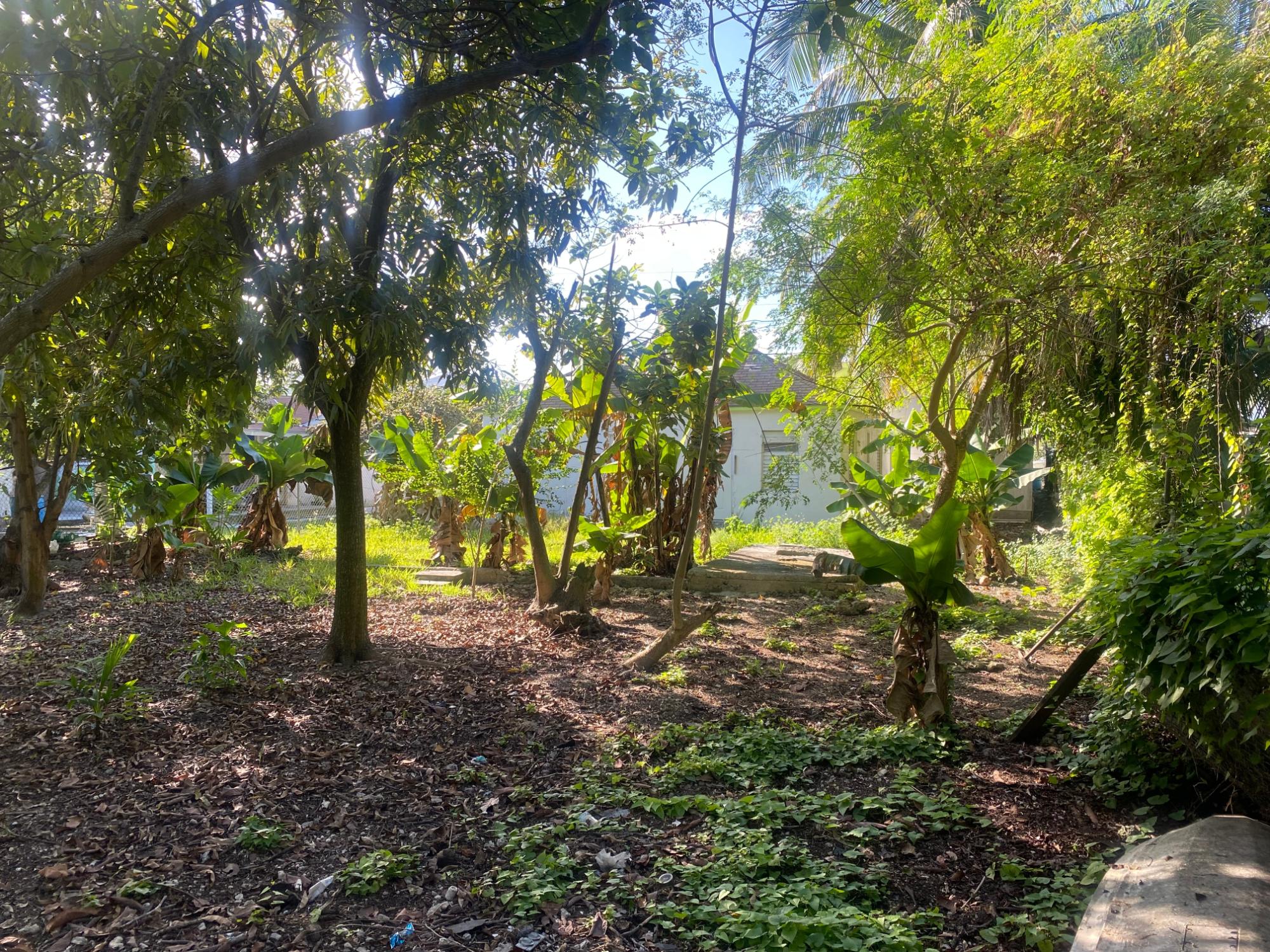 PINEDALE SUBDIVISION