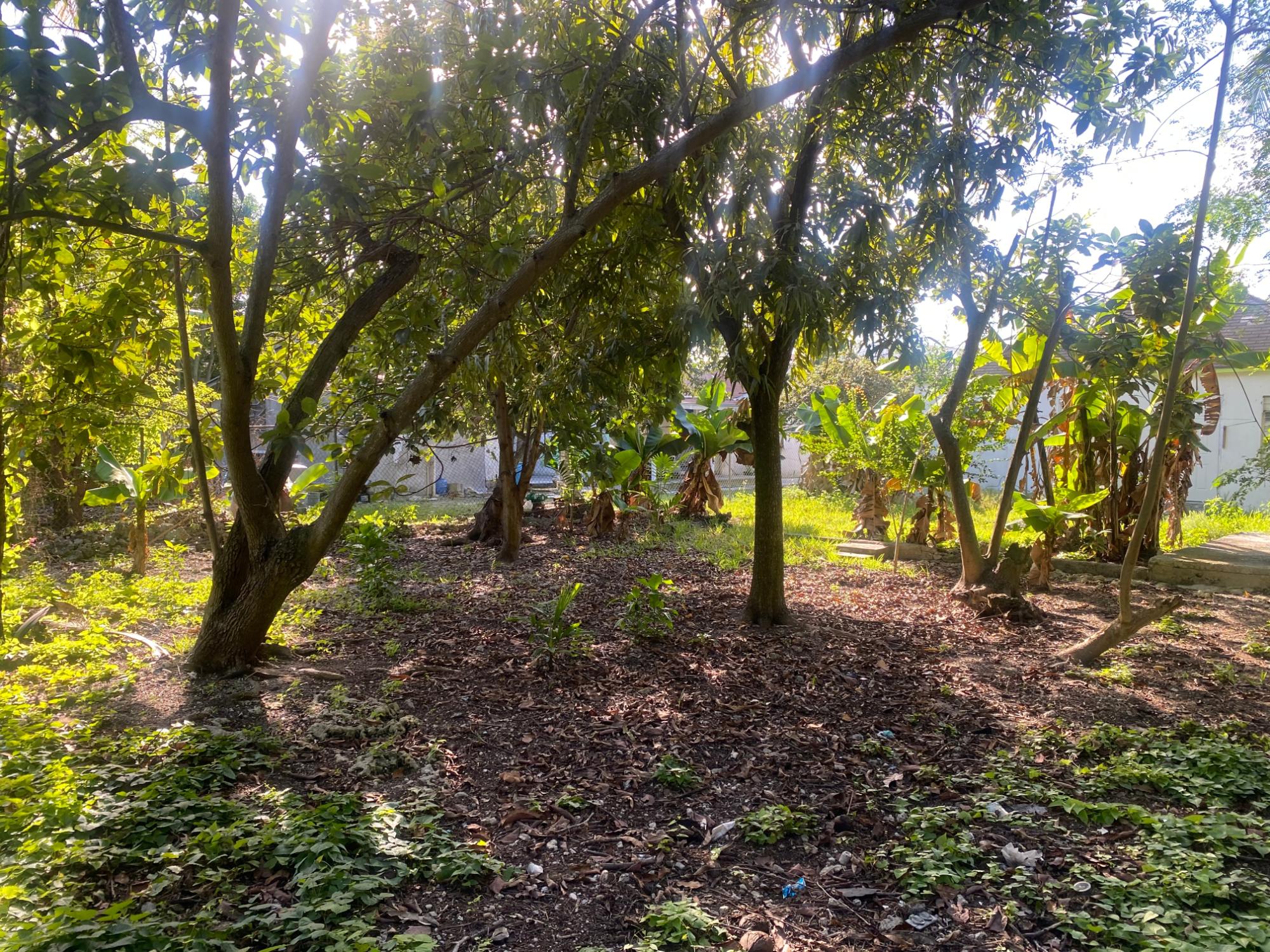 PINEDALE SUBDIVISION