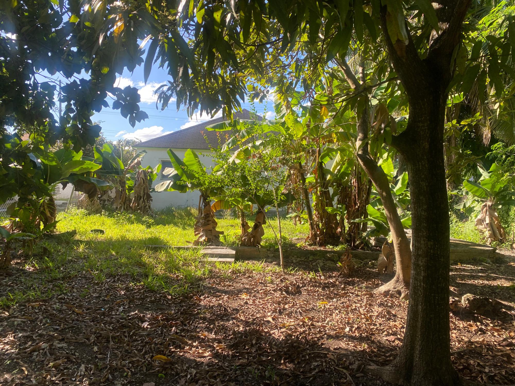 PINEDALE SUBDIVISION