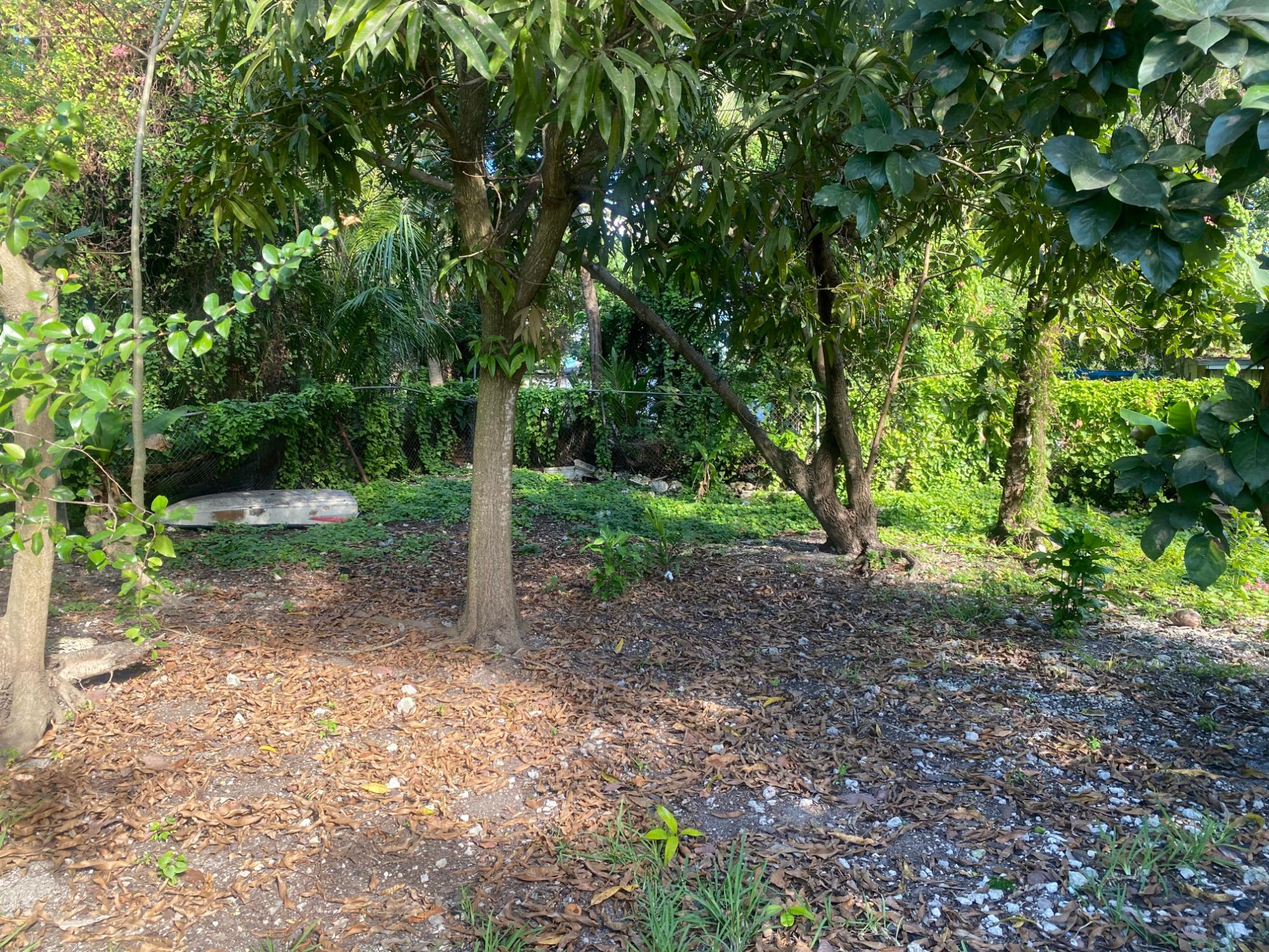 PINEDALE SUBDIVISION