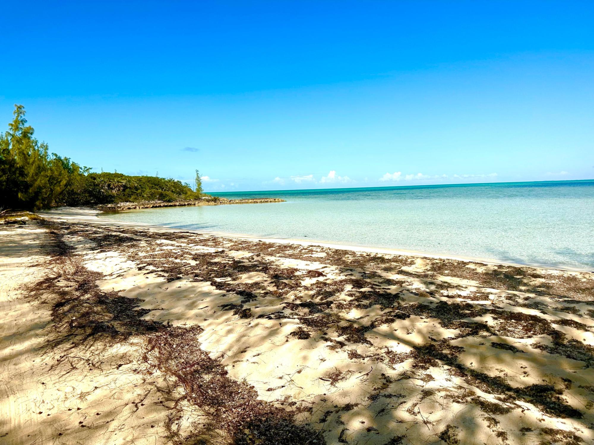 GREEN CASTLE 12-ACRE LOT