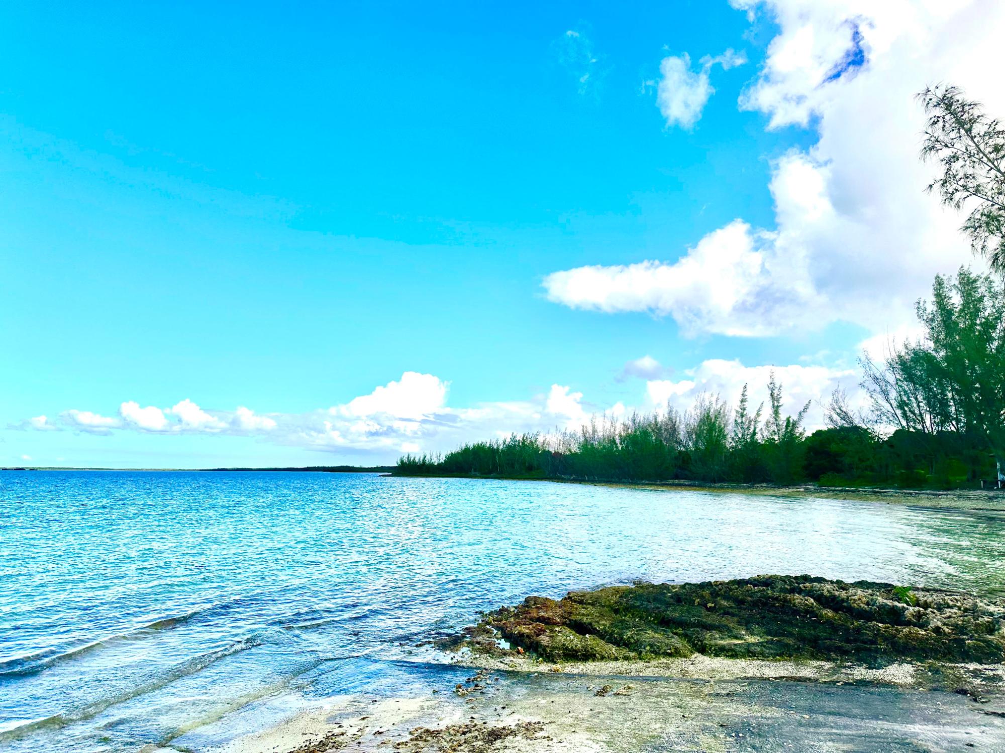 GREEN CASTLE 12-ACRE LOT