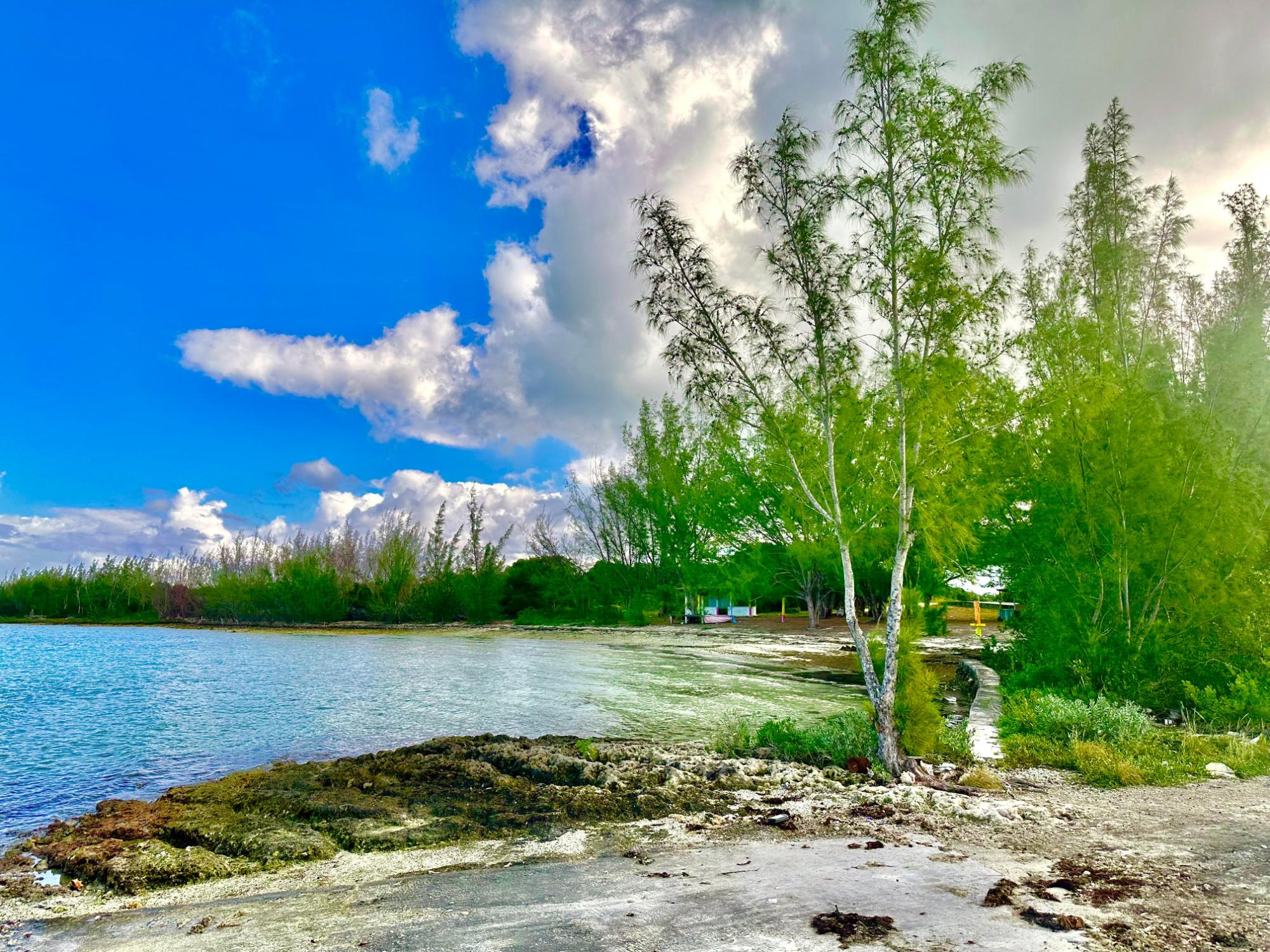 GREEN CASTLE 12-ACRE LOT