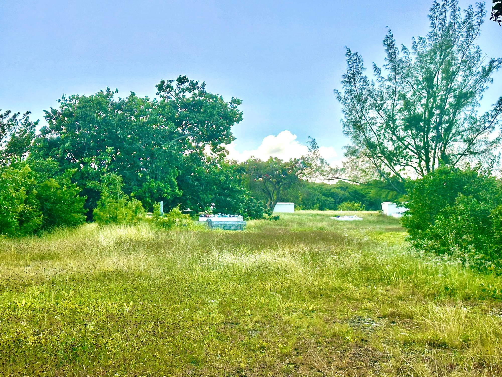 GREEN CASTLE 12-ACRE LOT