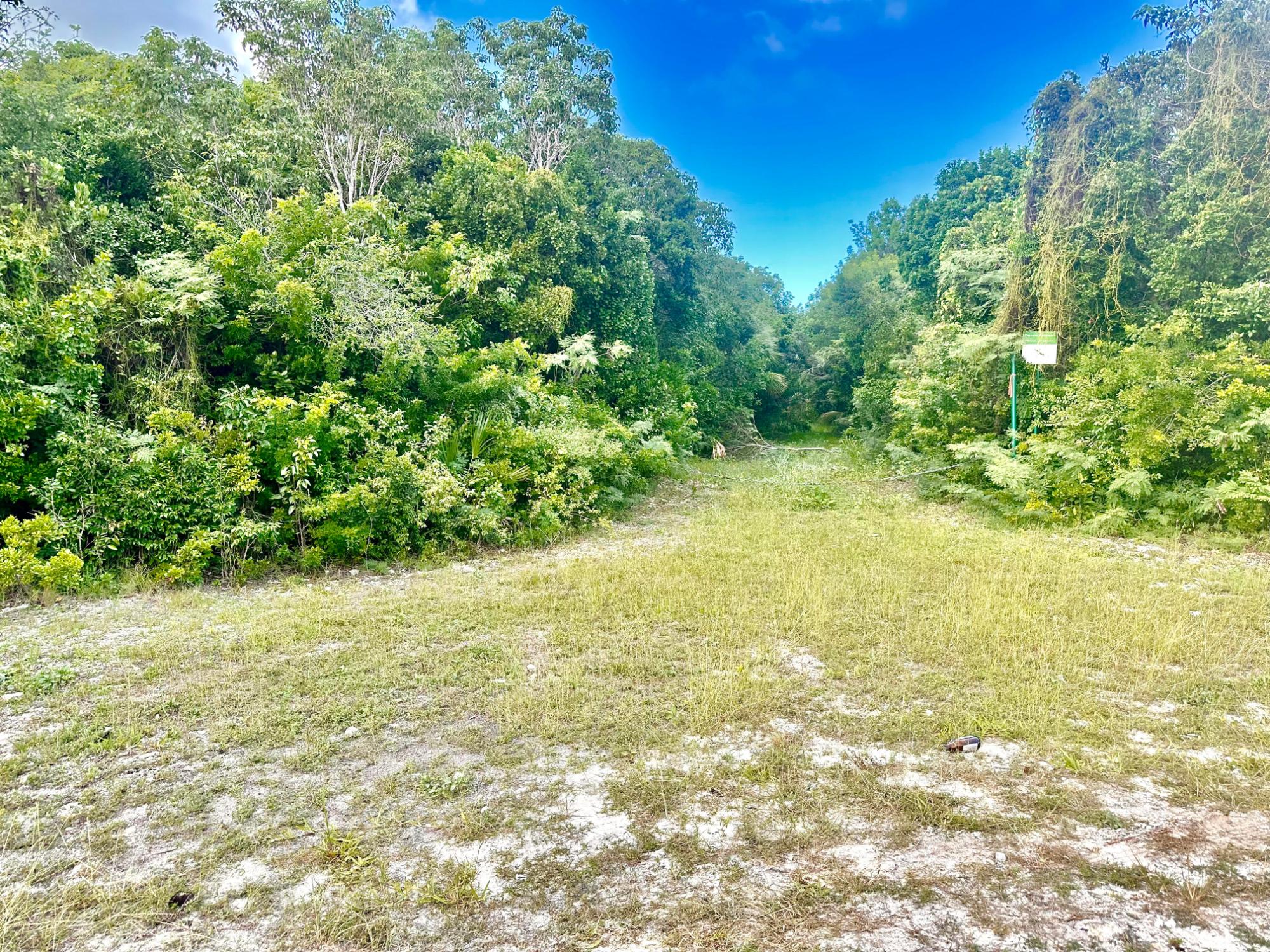 GREEN CASTLE 12-ACRE LOT