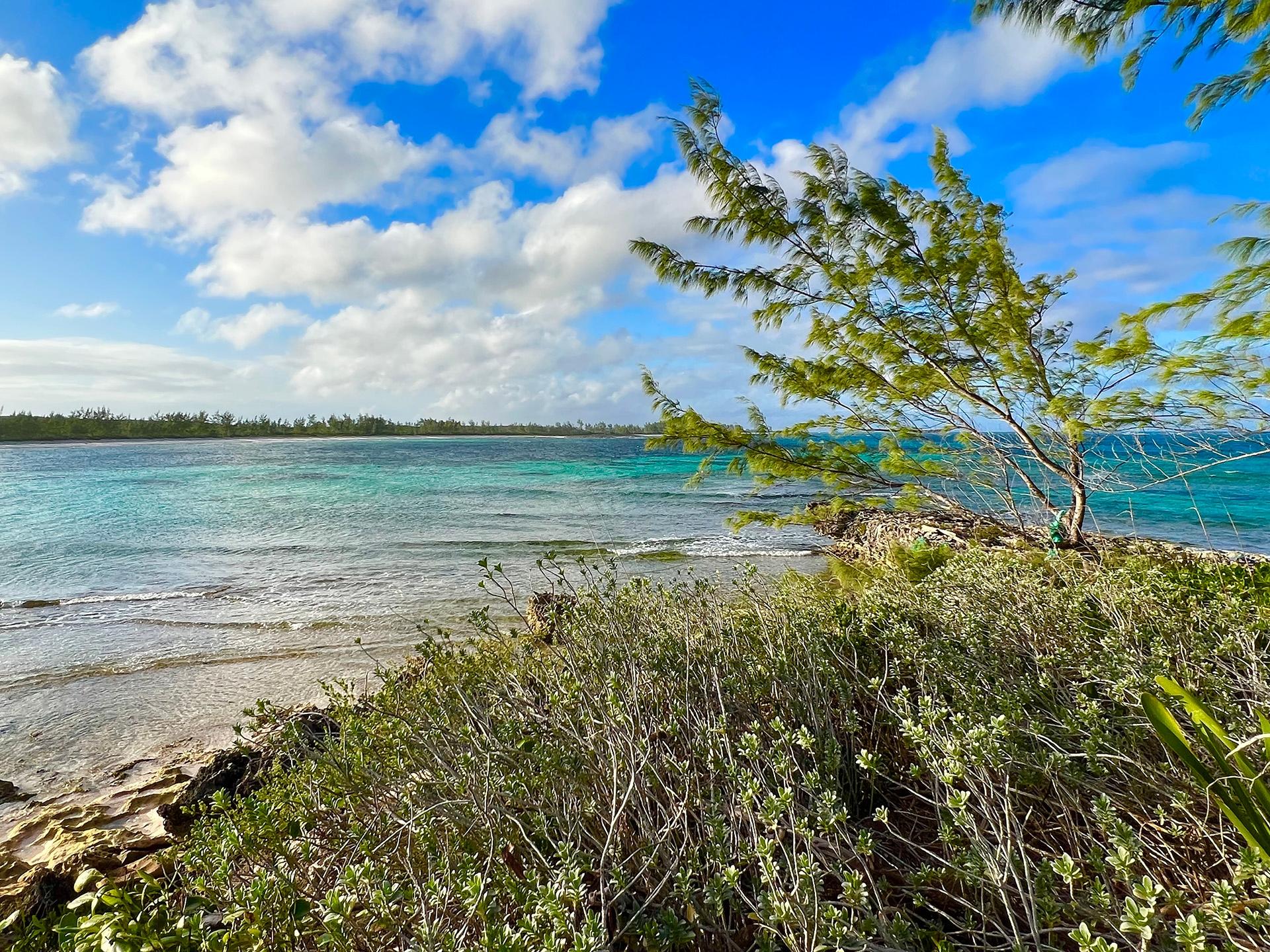 2 ACRES JAMES CISTERN