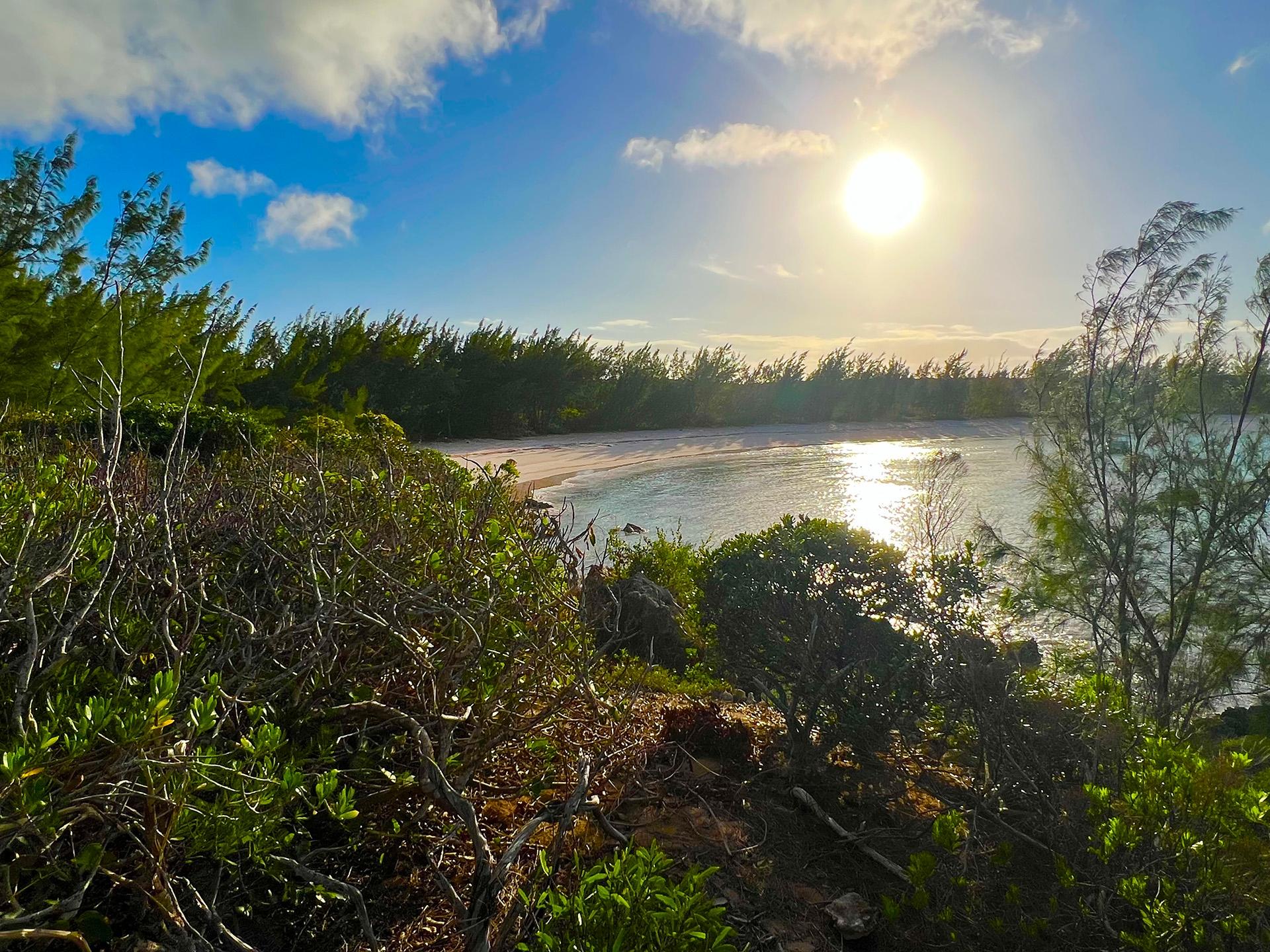 2 ACRES JAMES CISTERN