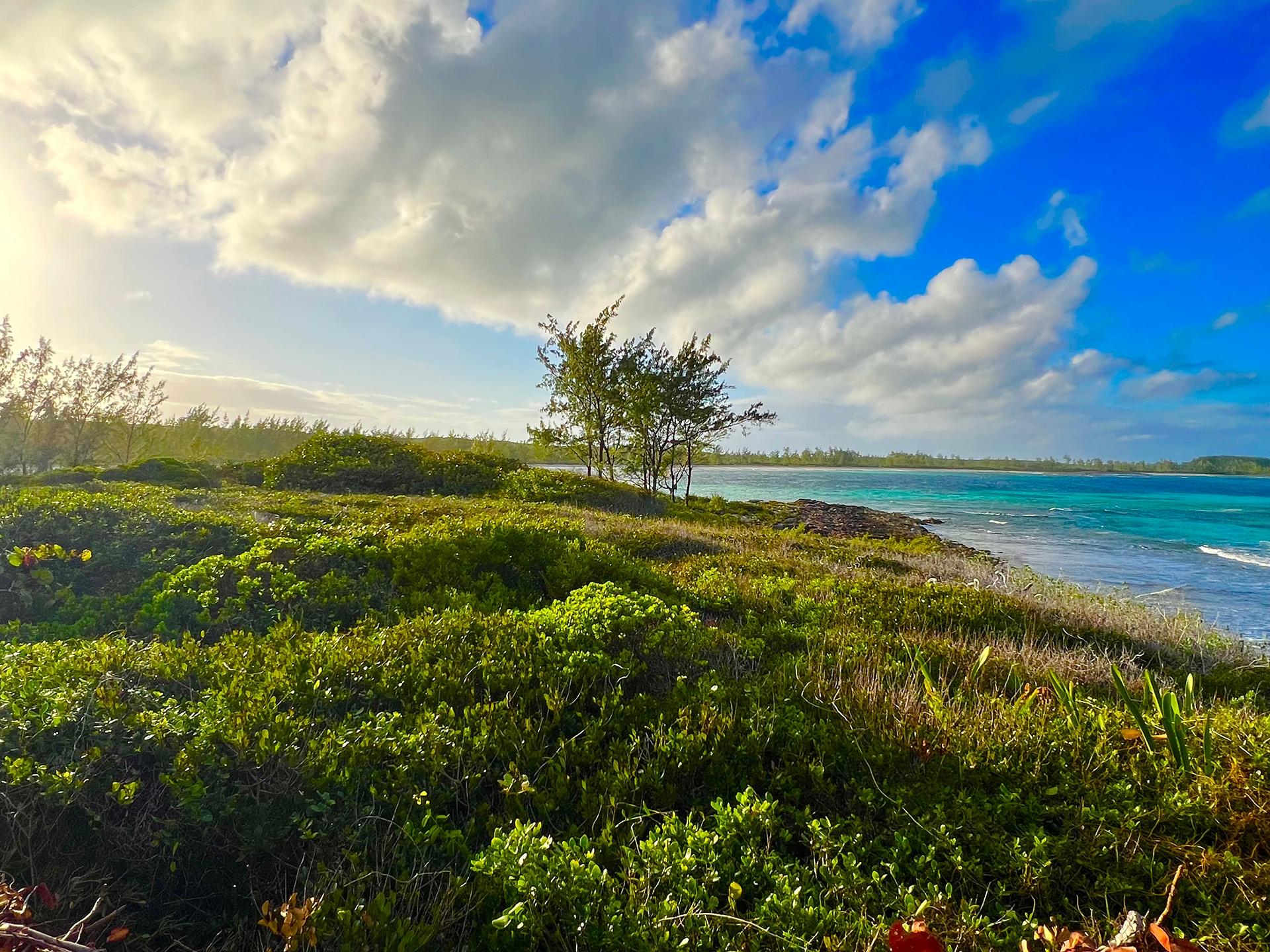 2 ACRES JAMES CISTERN