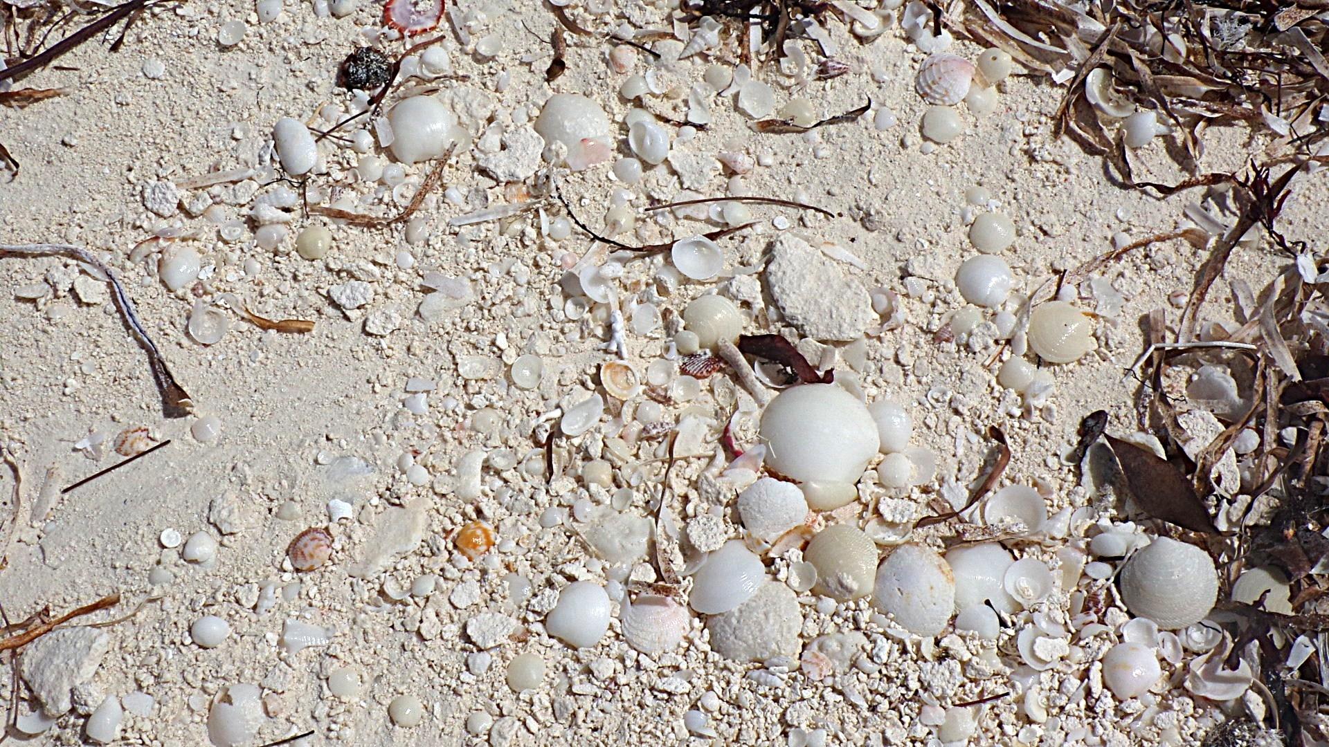 CAPE SANTA MARIA BEACH LO