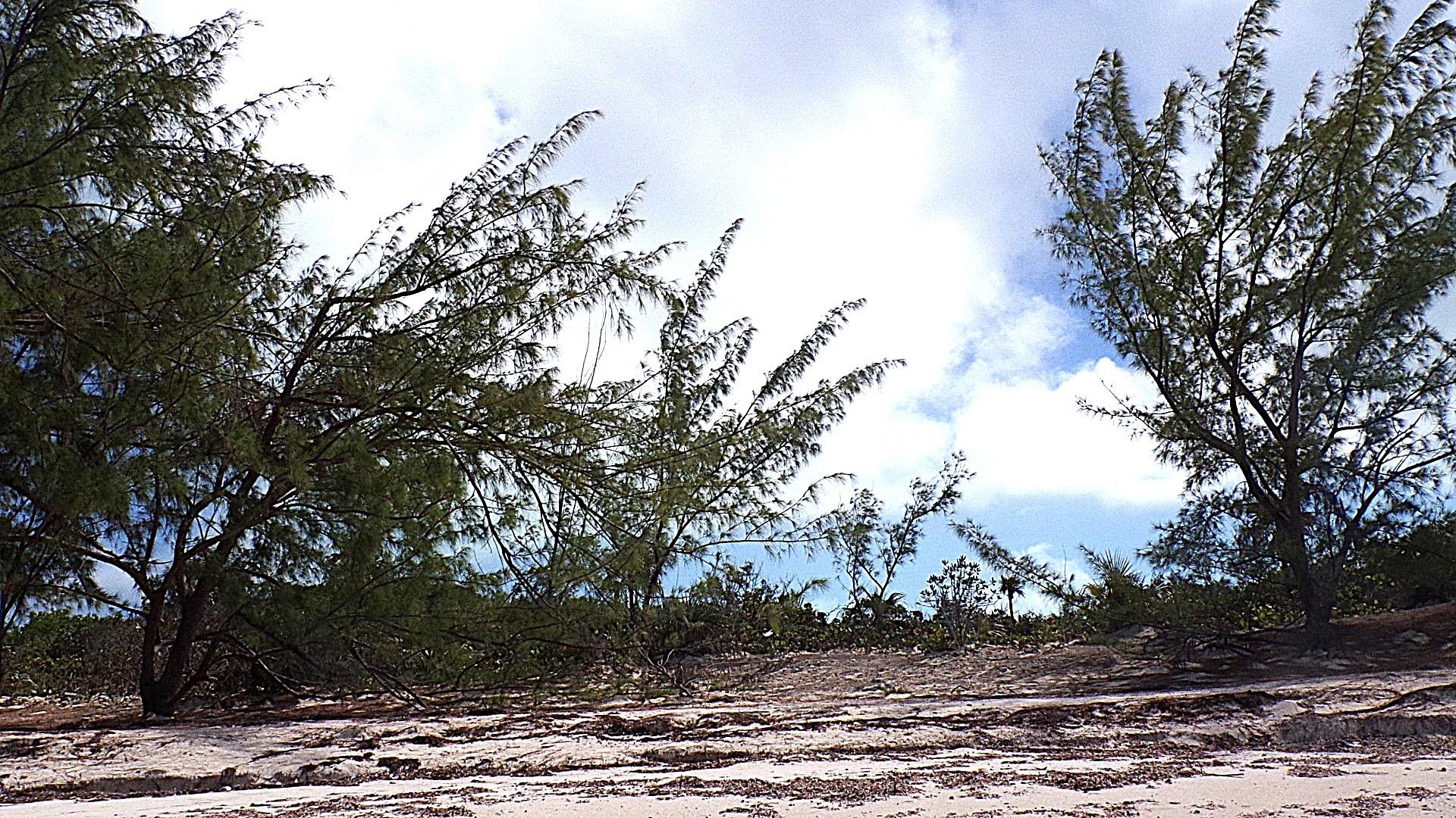 CAPE SANTA MARIA BEACH LO