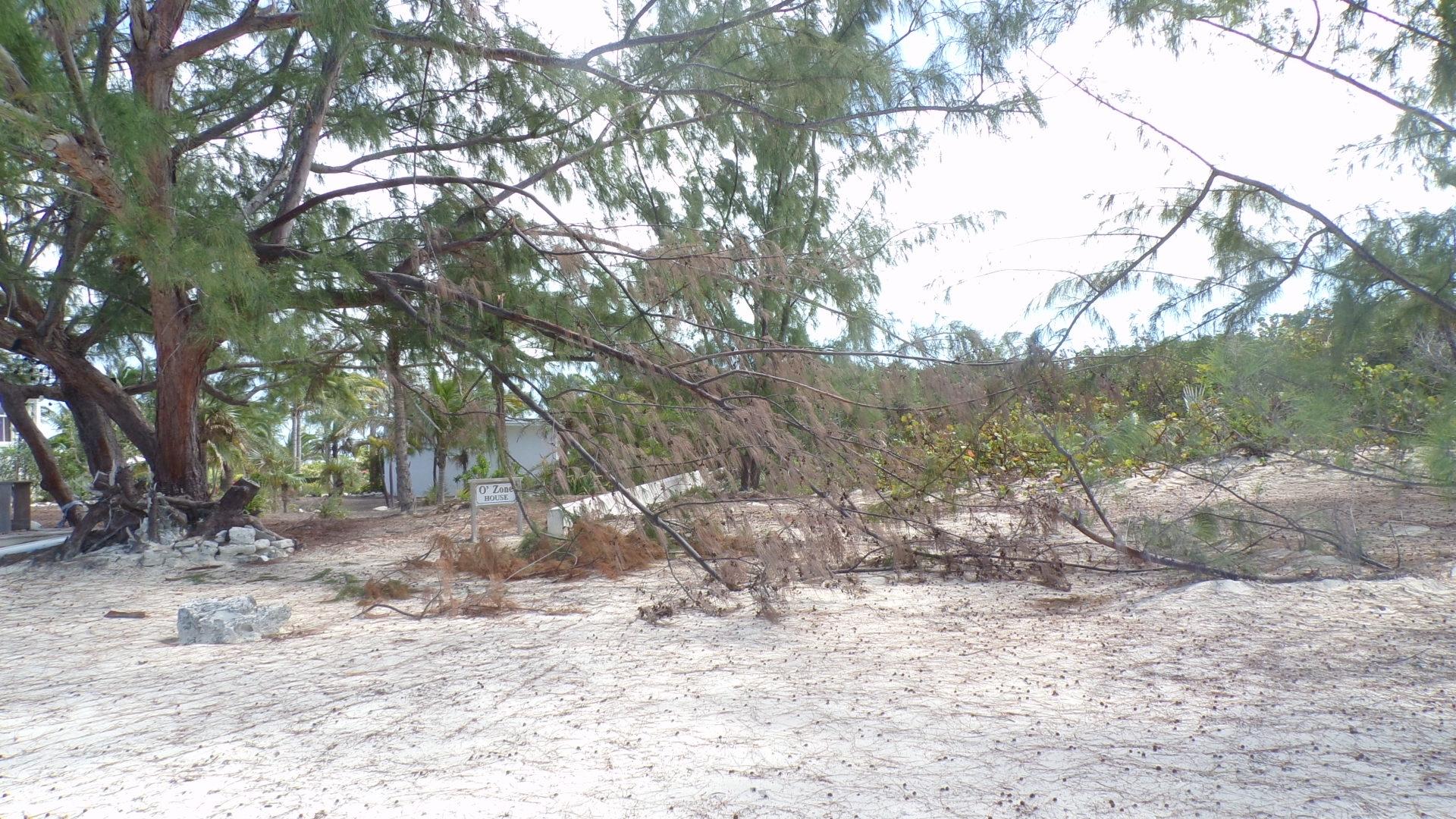 CAPE SANTA MARIA BEACH LO