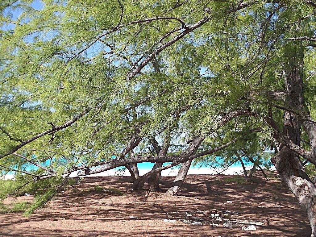 CAPE SANTA MARIA BEACH LO