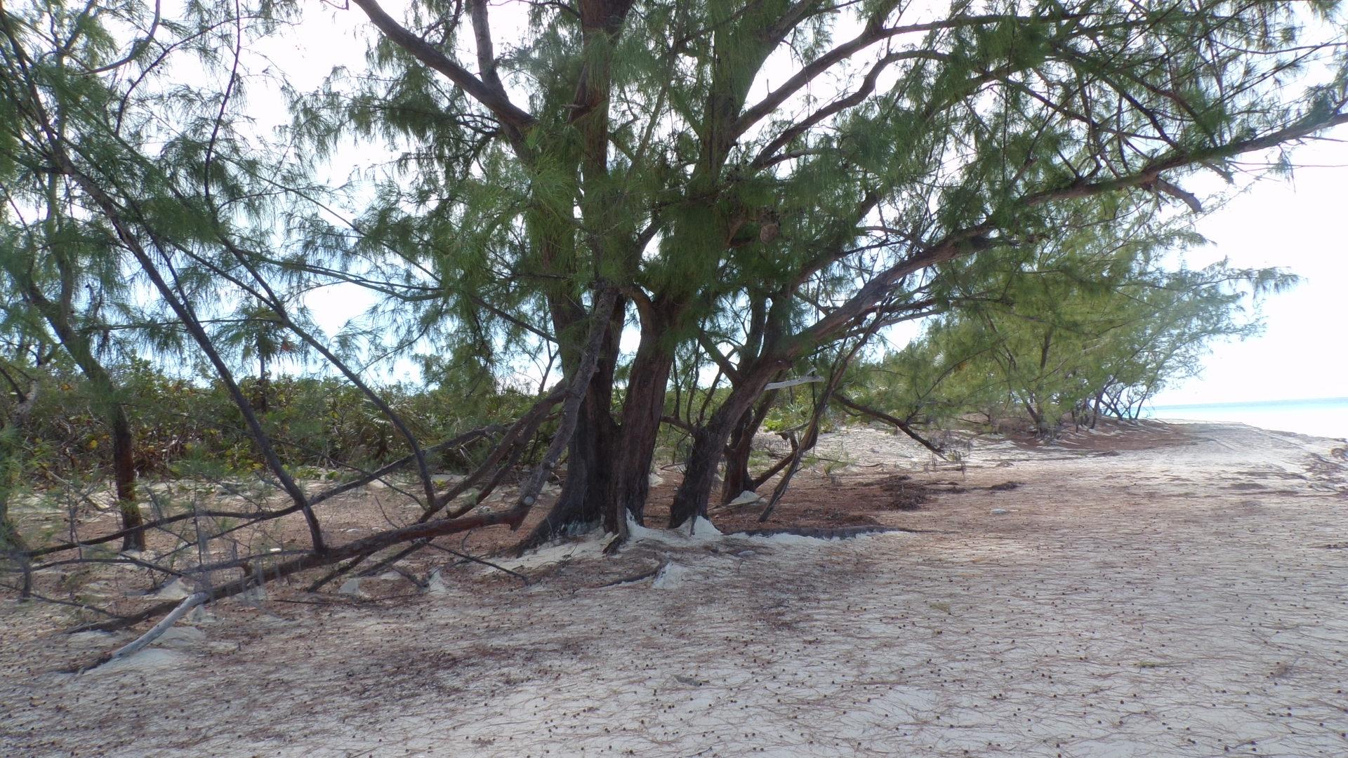 CAPE SANTA MARIA BEACH LO