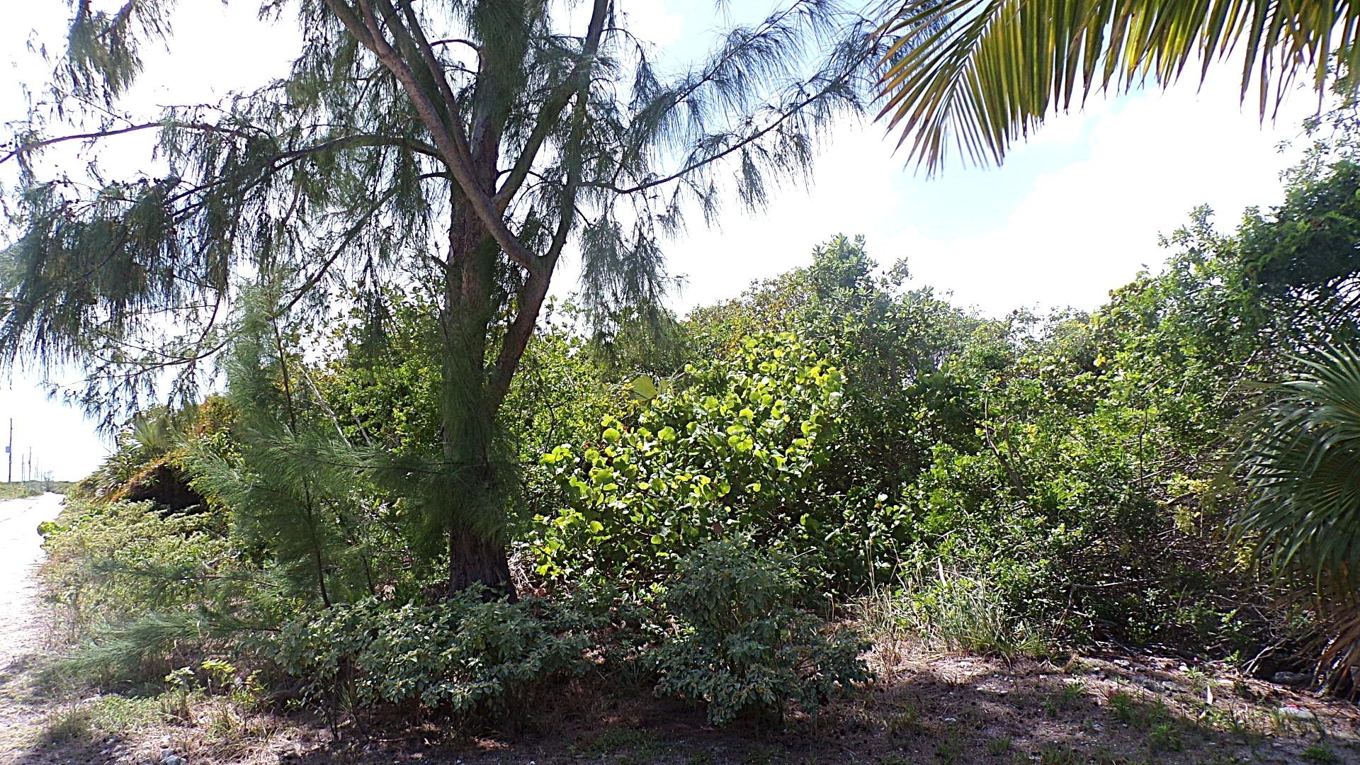 CAPE SANTA MARIA BEACH LO