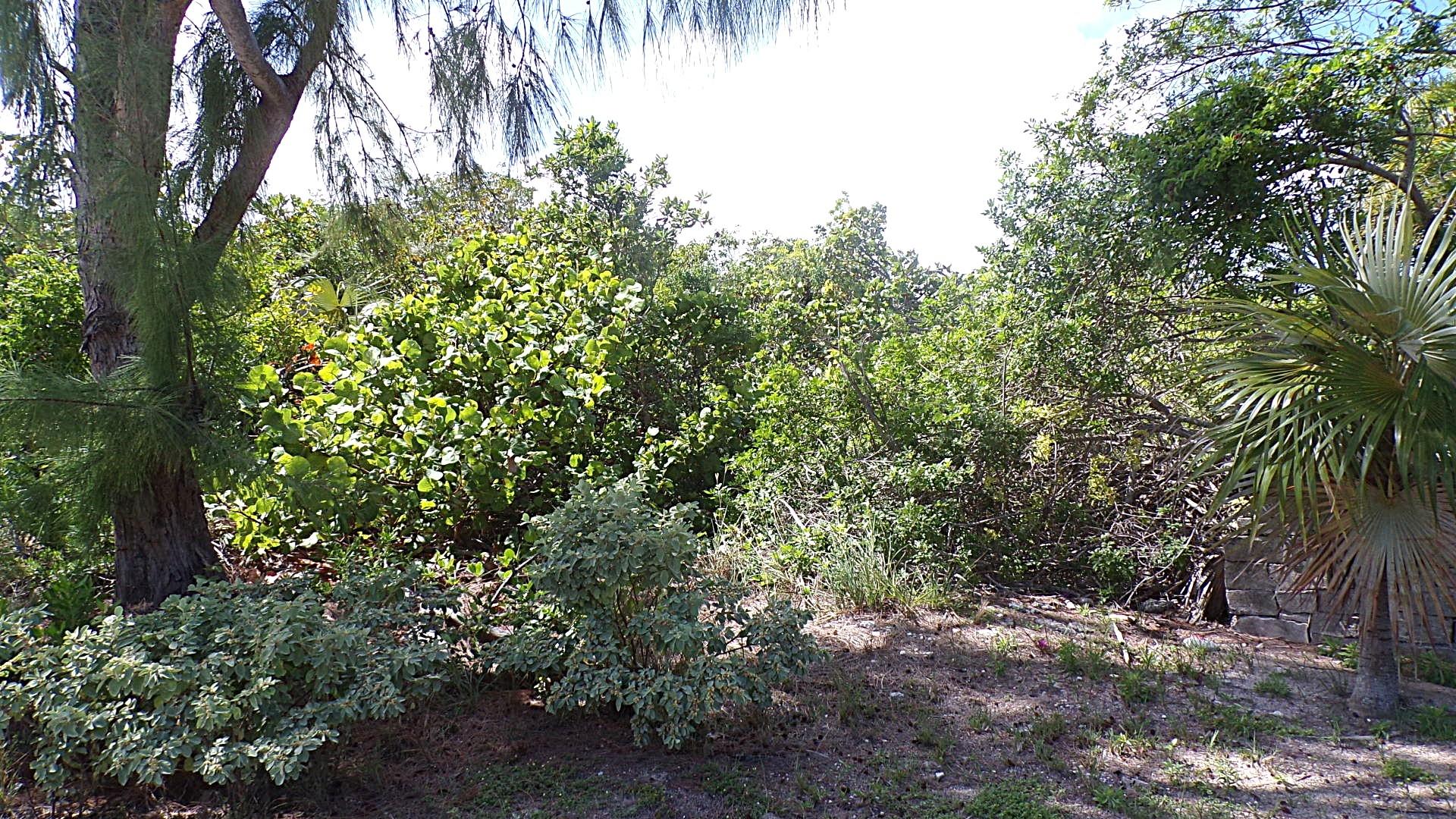 CAPE SANTA MARIA BEACH LO