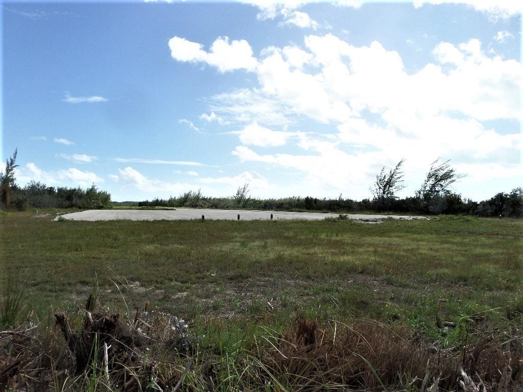 LOT# 20 STELLA MARIS