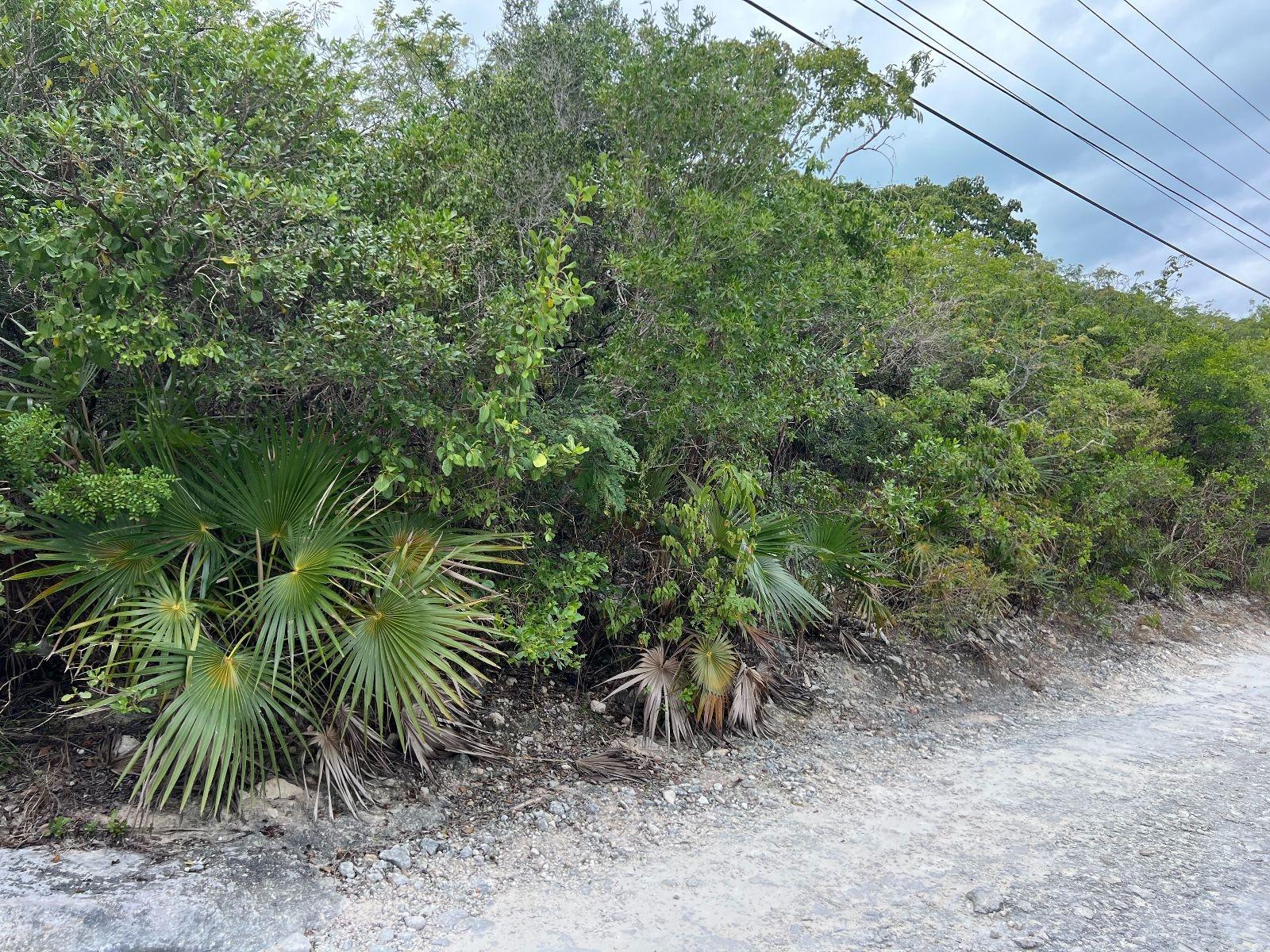 LOT 17292 BAHAMA SOUND 18