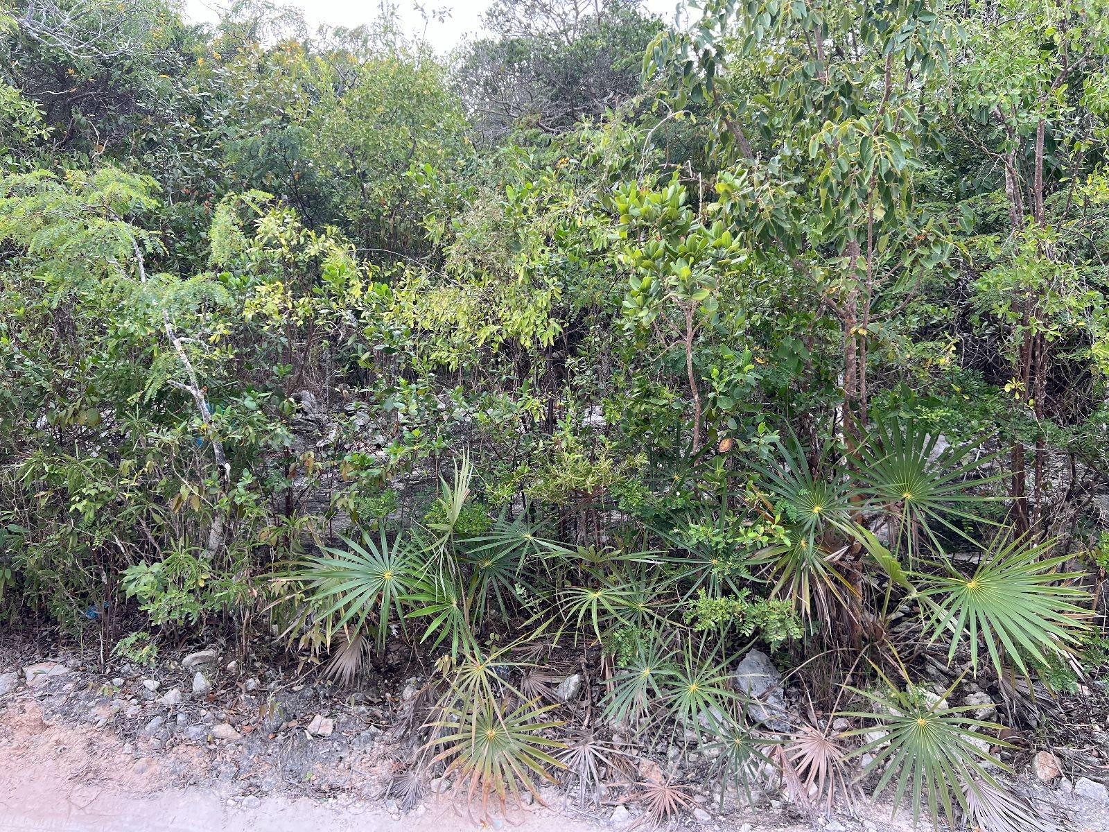 LOT 17292 BAHAMA SOUND 18