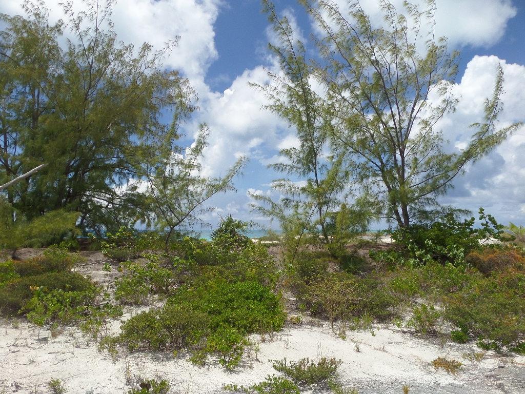 CAPE SANTA MARIA HOUSE