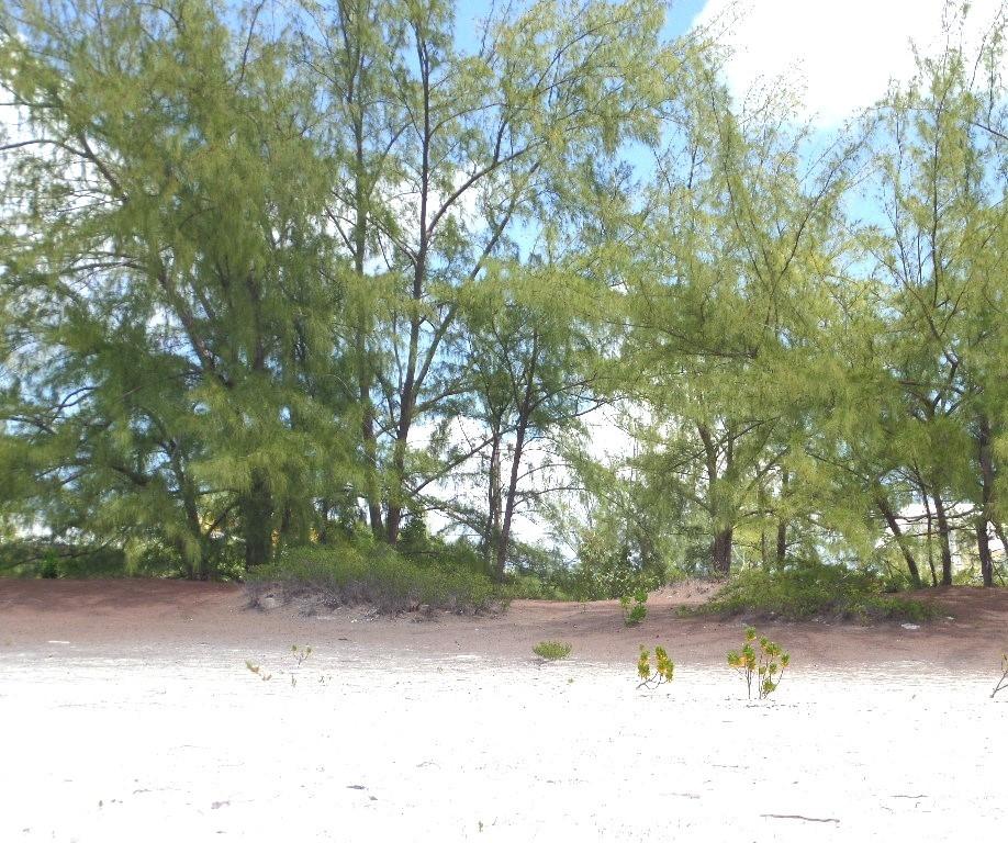 CAPE SANTA MARIA HOUSE