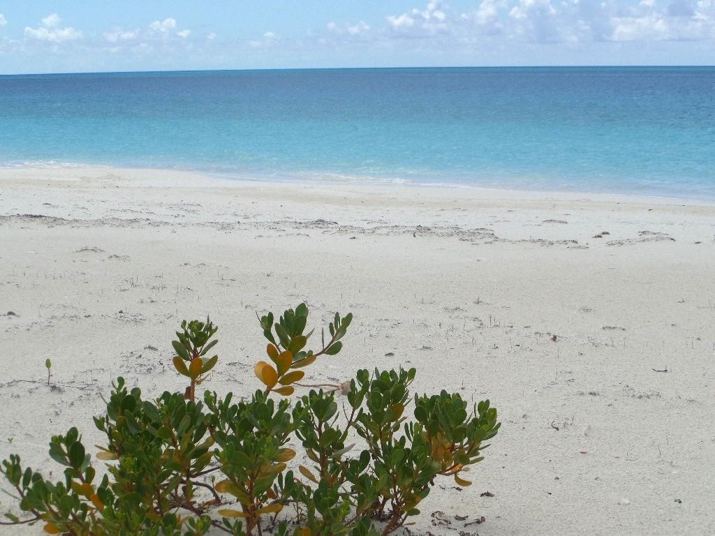 CAPE SANTA MARIA HOUSE