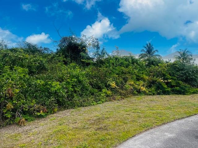 LOT 155 PALM CAY